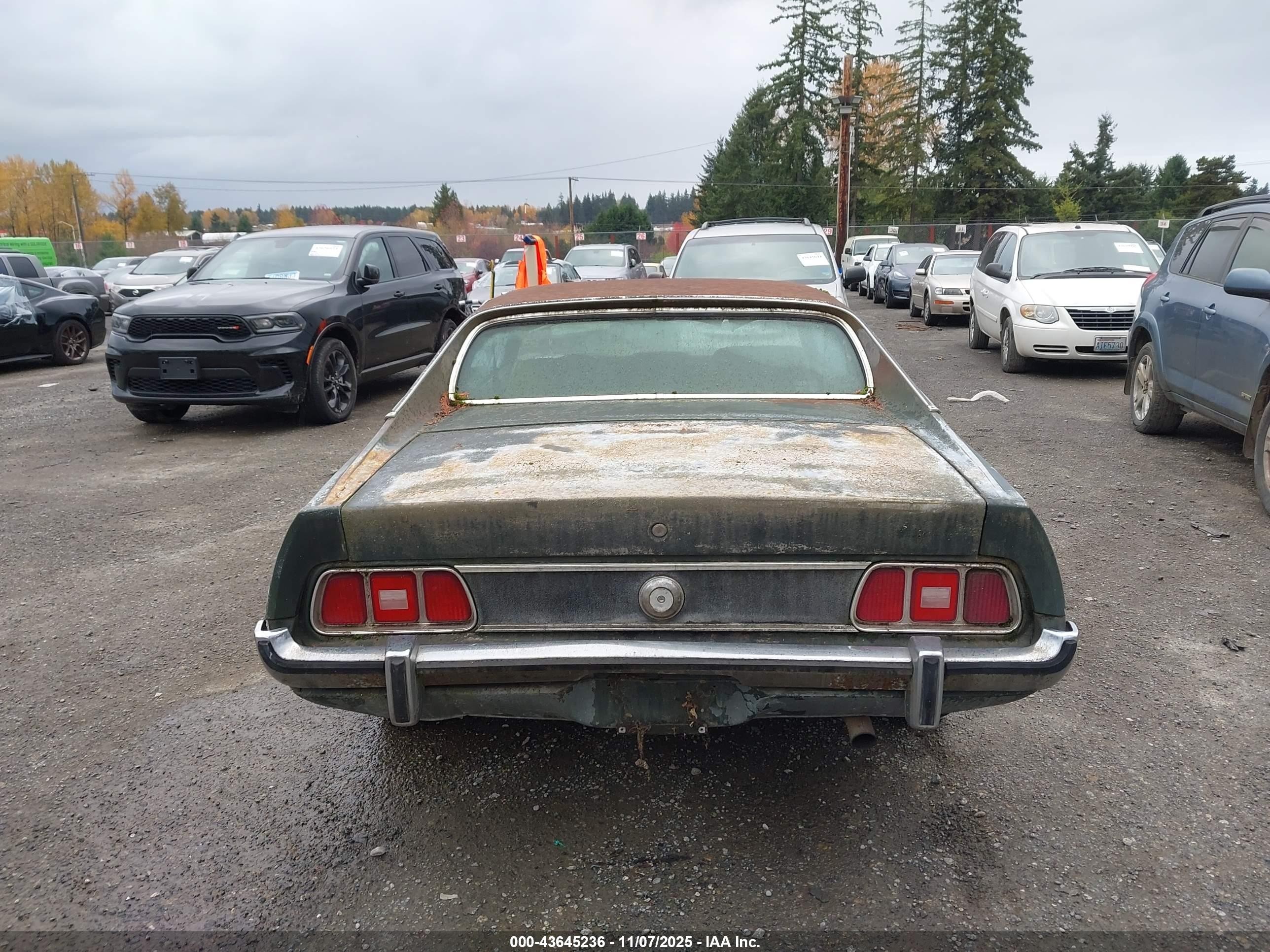 1973 Ford Mustang   Зеленый vin: 3F04H261310      