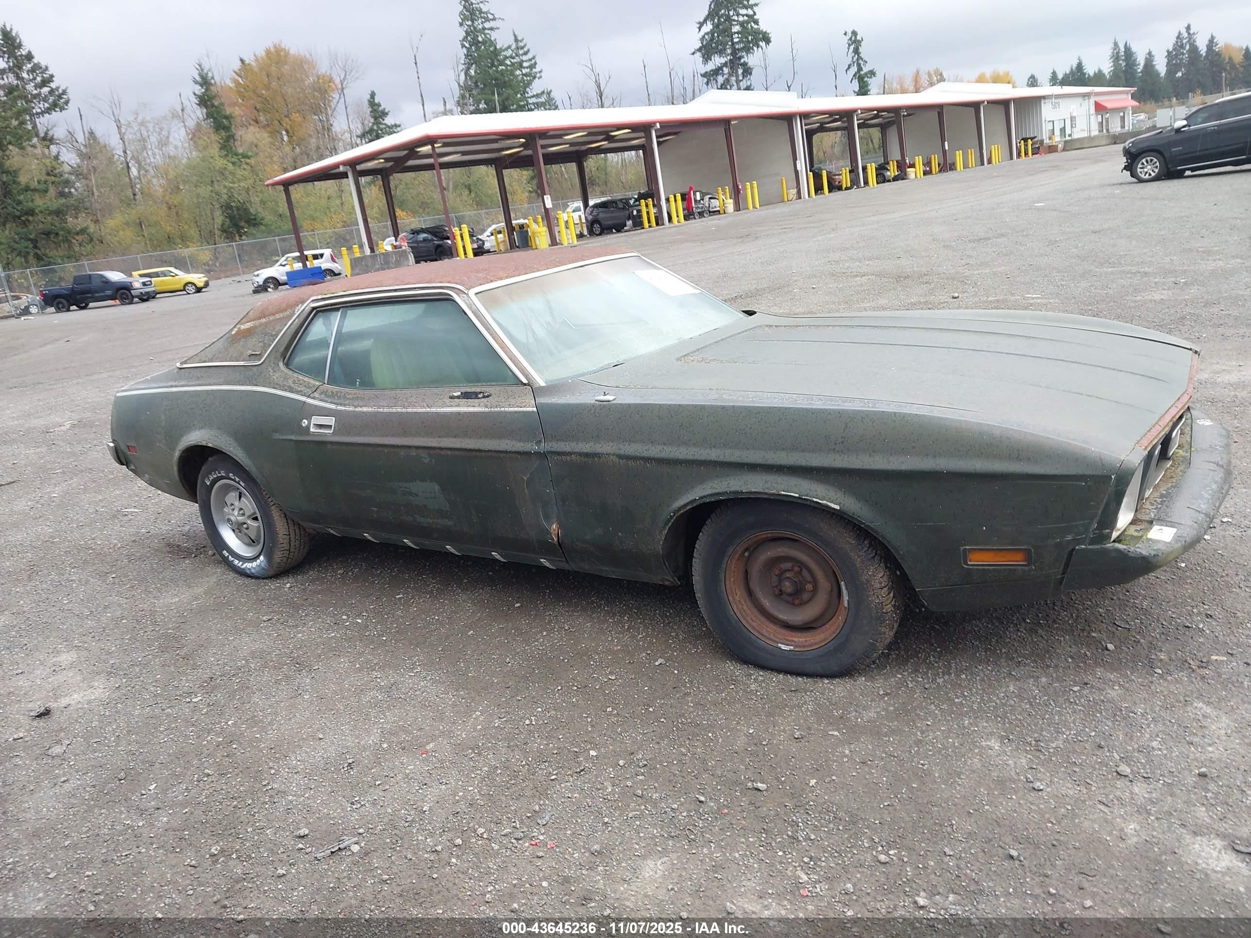1973 Ford Mustang   Зеленый vin: 3F04H261310      