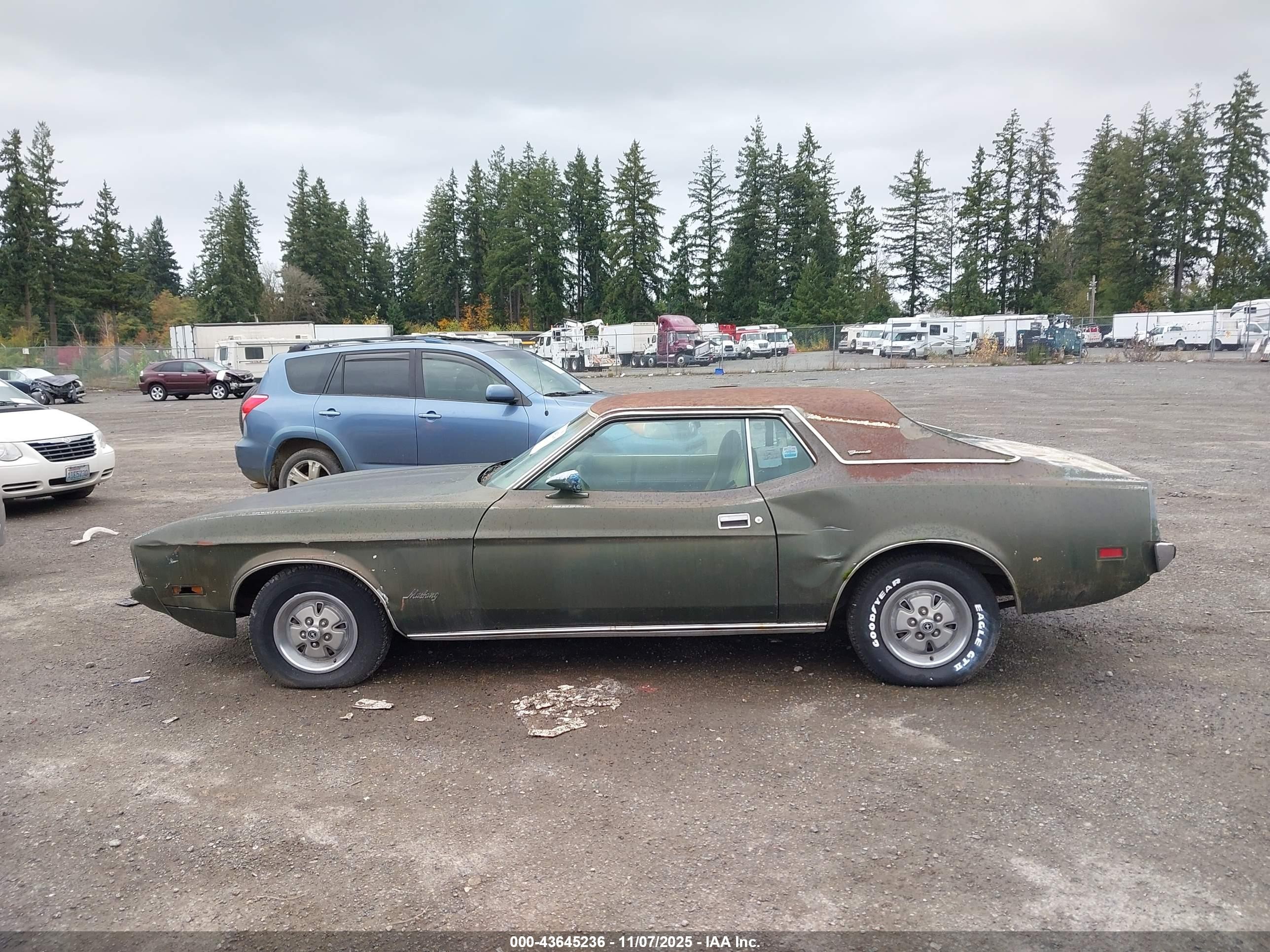 1973 Ford Mustang   Зеленый vin: 3F04H261310      