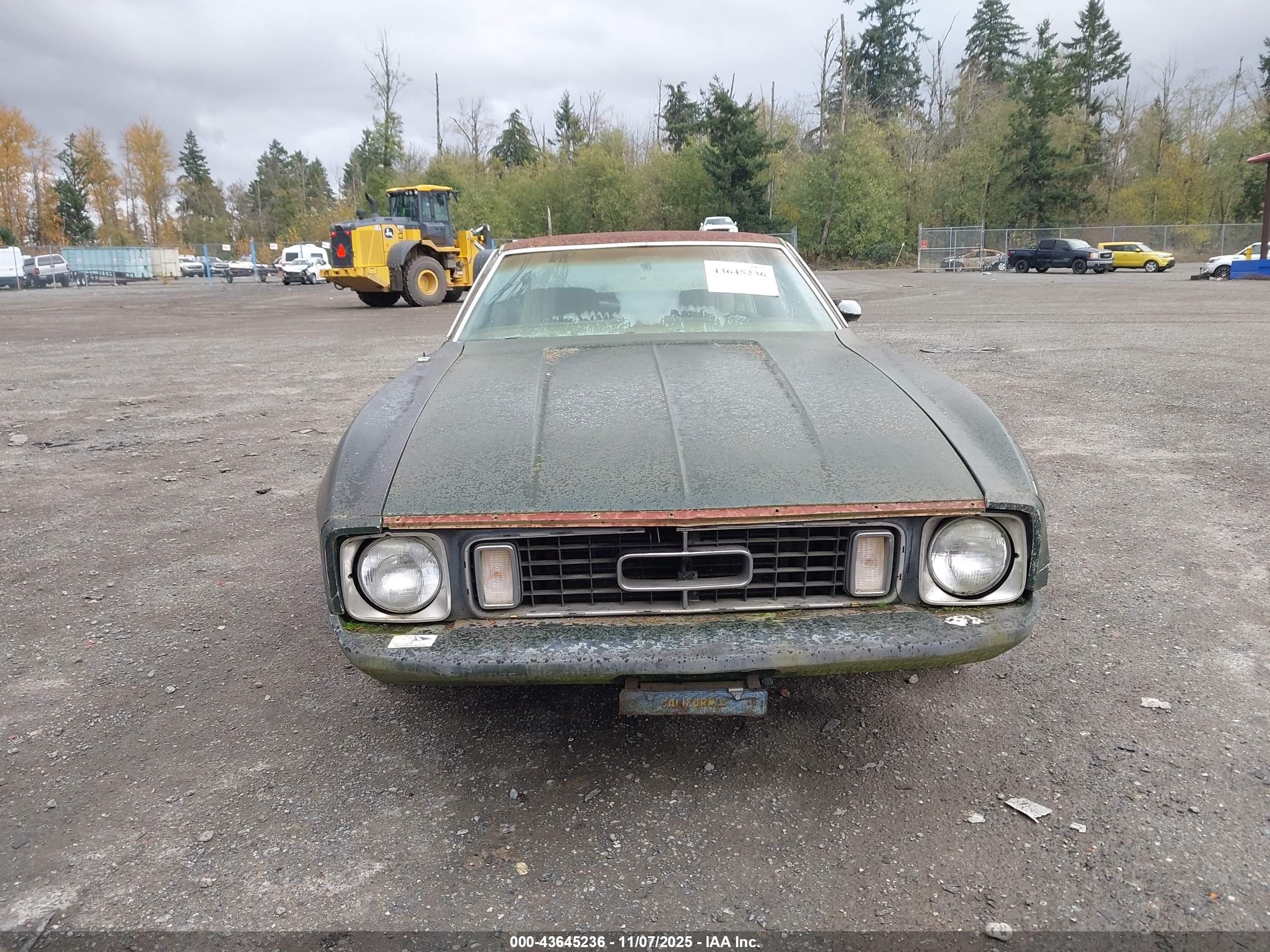1973 Ford Mustang   Зеленый vin: 3F04H261310      