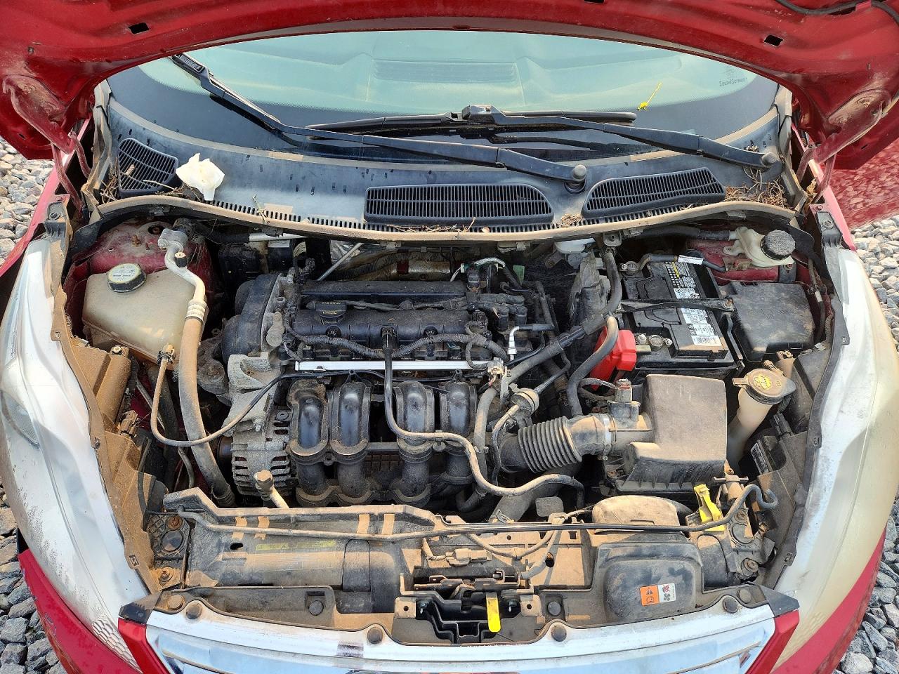 2011 Ford Fiesta Se Красный vin: 3FADP4BJ3BM131245