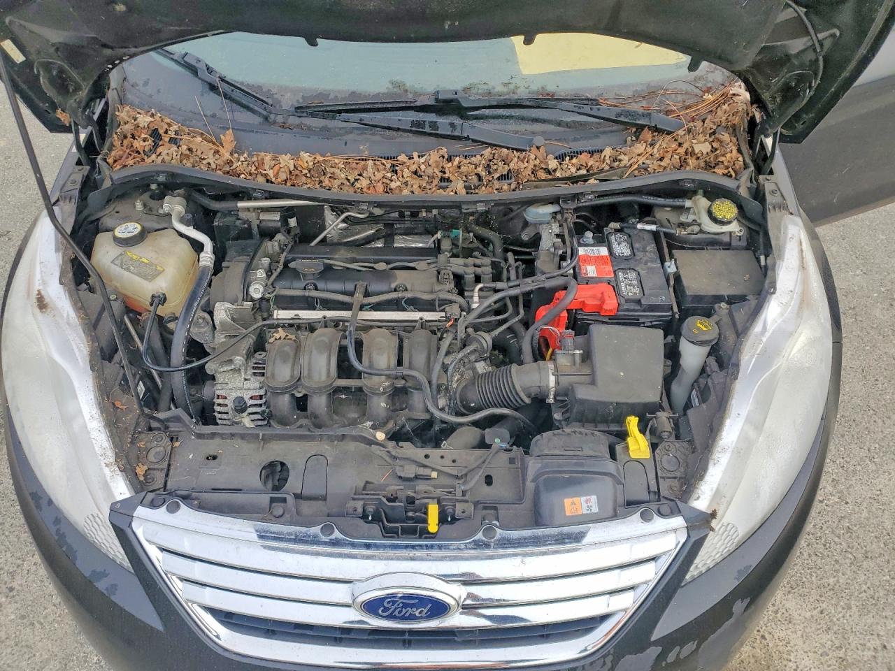 2013 Ford Fiesta Se Black vin: 3FADP4BJXDM223231