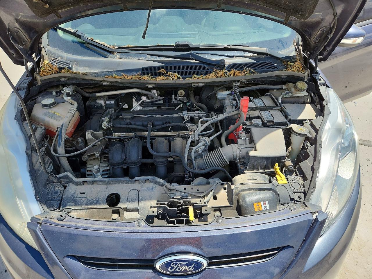 2013 Ford Fiesta Se Blue vin: 3FADP4EJ3DM153941