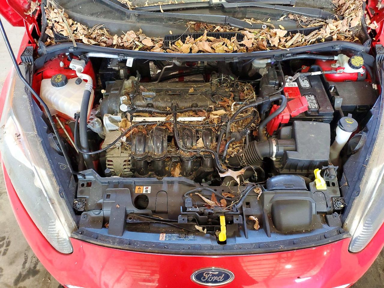 2014 Ford Fiesta Se Red vin: 3FADP4EJ8EM220213