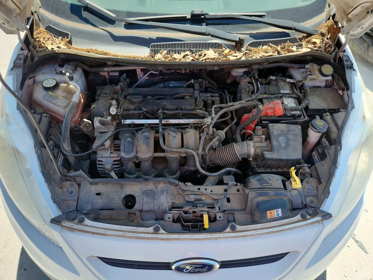 2013 Ford Fiesta Se White vin: 3FADP4EJXDM204352