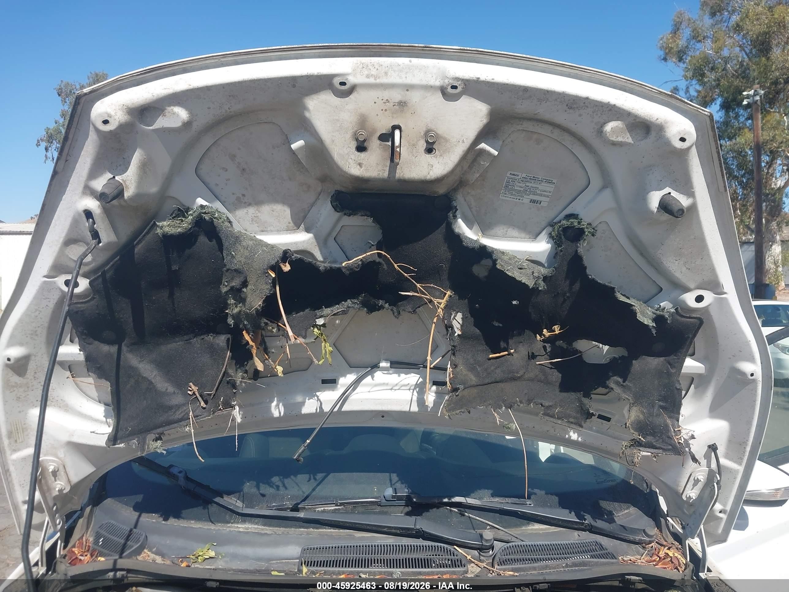 2015 Ford Fiesta Se White vin: 3FADP4EJXFM164373