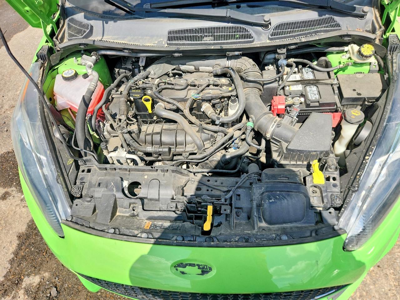 2014 Ford Fiesta St Green vin: 3FADP4GX4EM153370