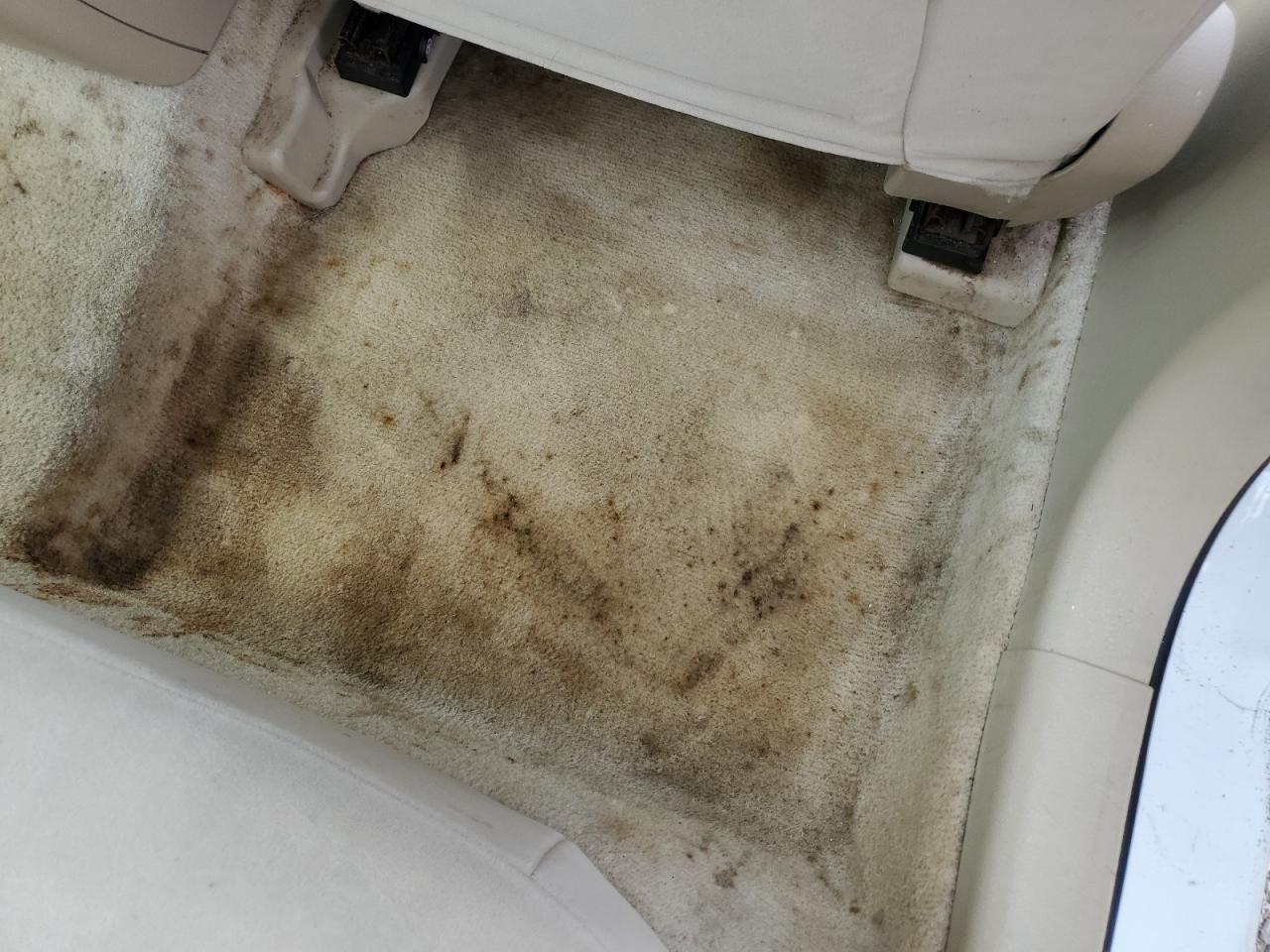 2006 Ford Fusion Sel White vin: 3FAFP08Z76R143700 Damage: Left Rear Carpet, Stained, Permanent