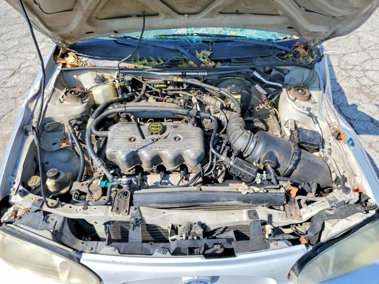 2002 Ford Escort Silver vin: 3FAFP13P02R214256