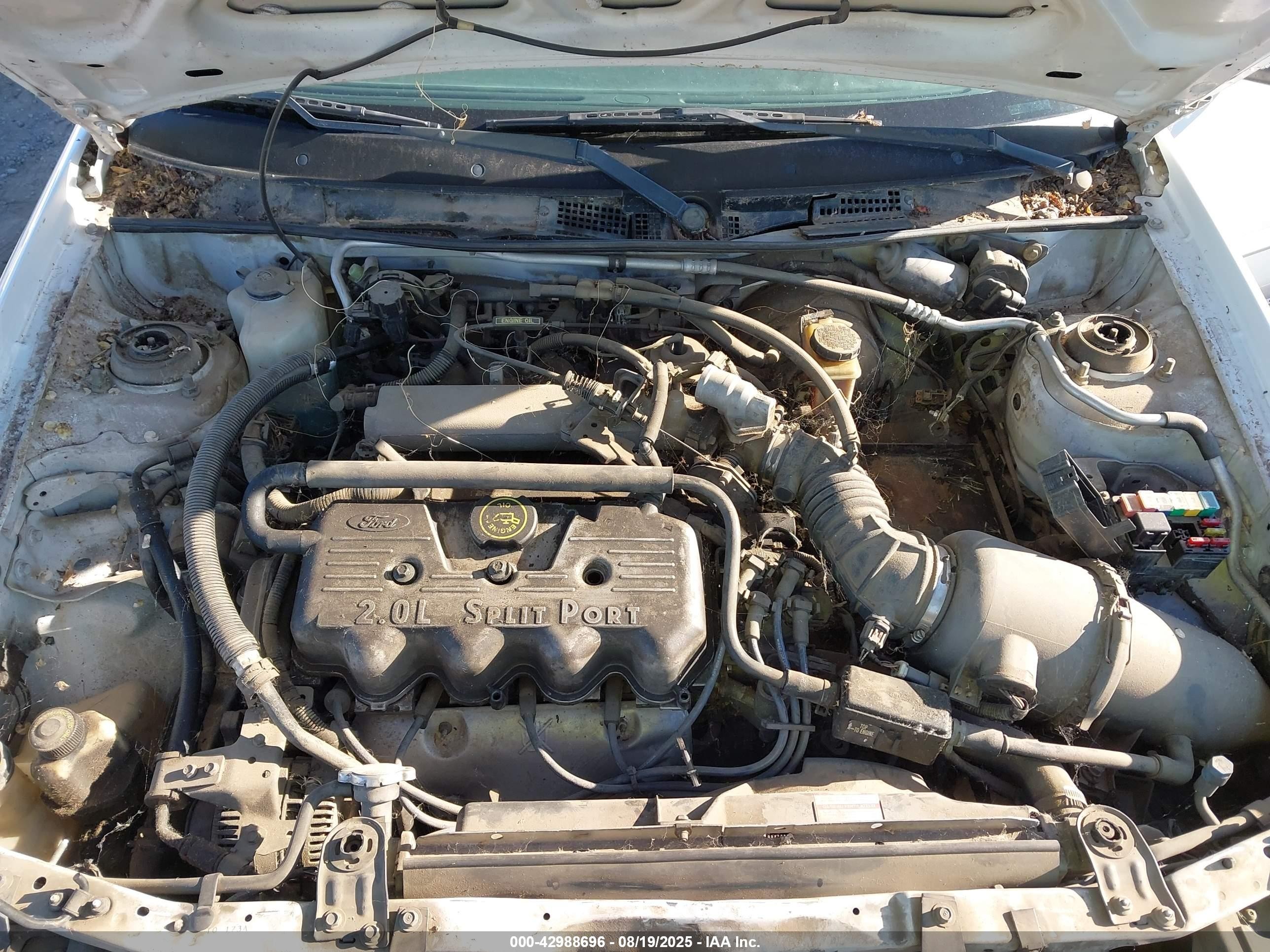 2000 Ford Escort   White vin: 3FAFP13P3YR233571