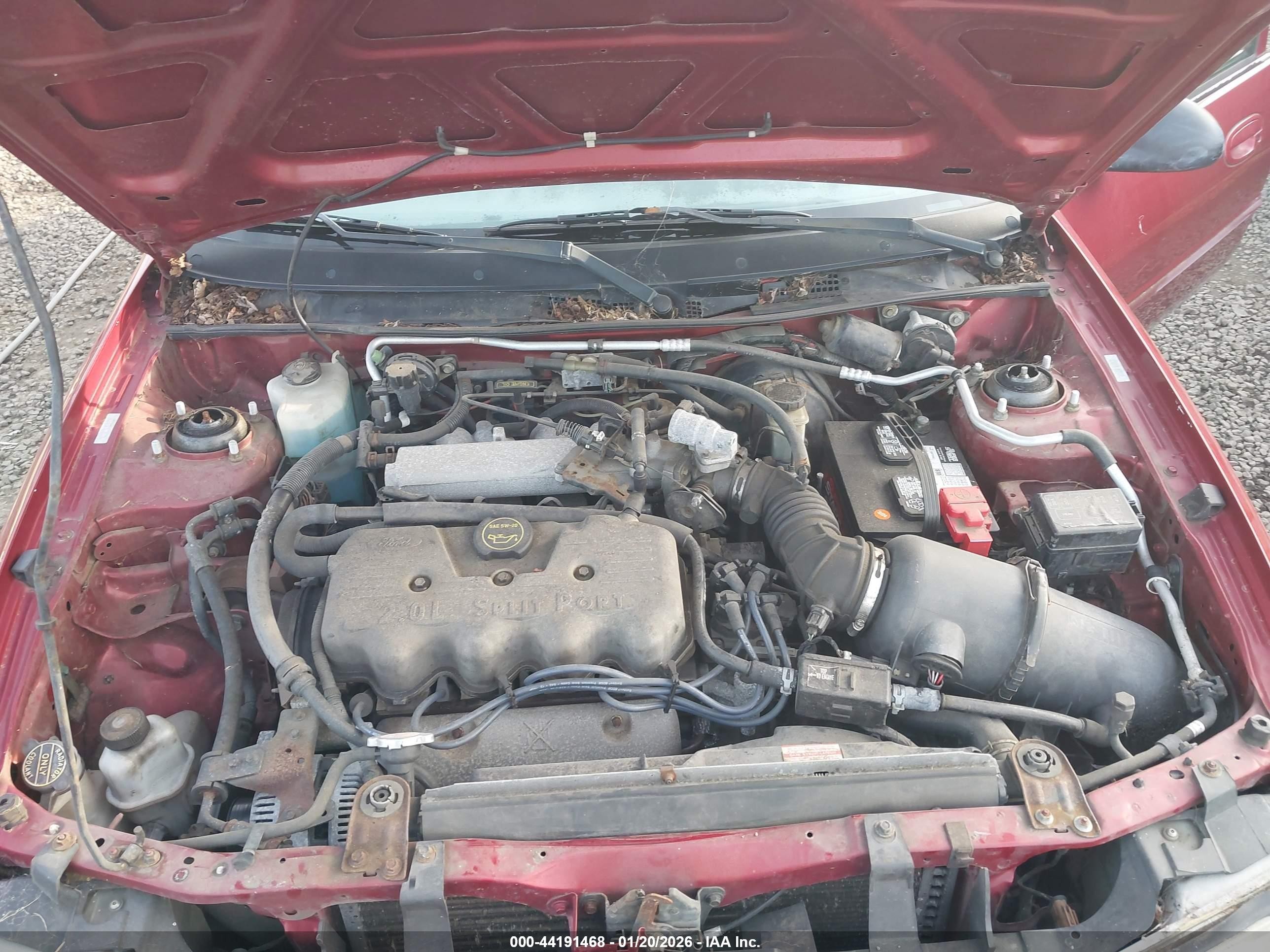 2001 Ford Escort   Red vin: 3FAFP13P41R212508