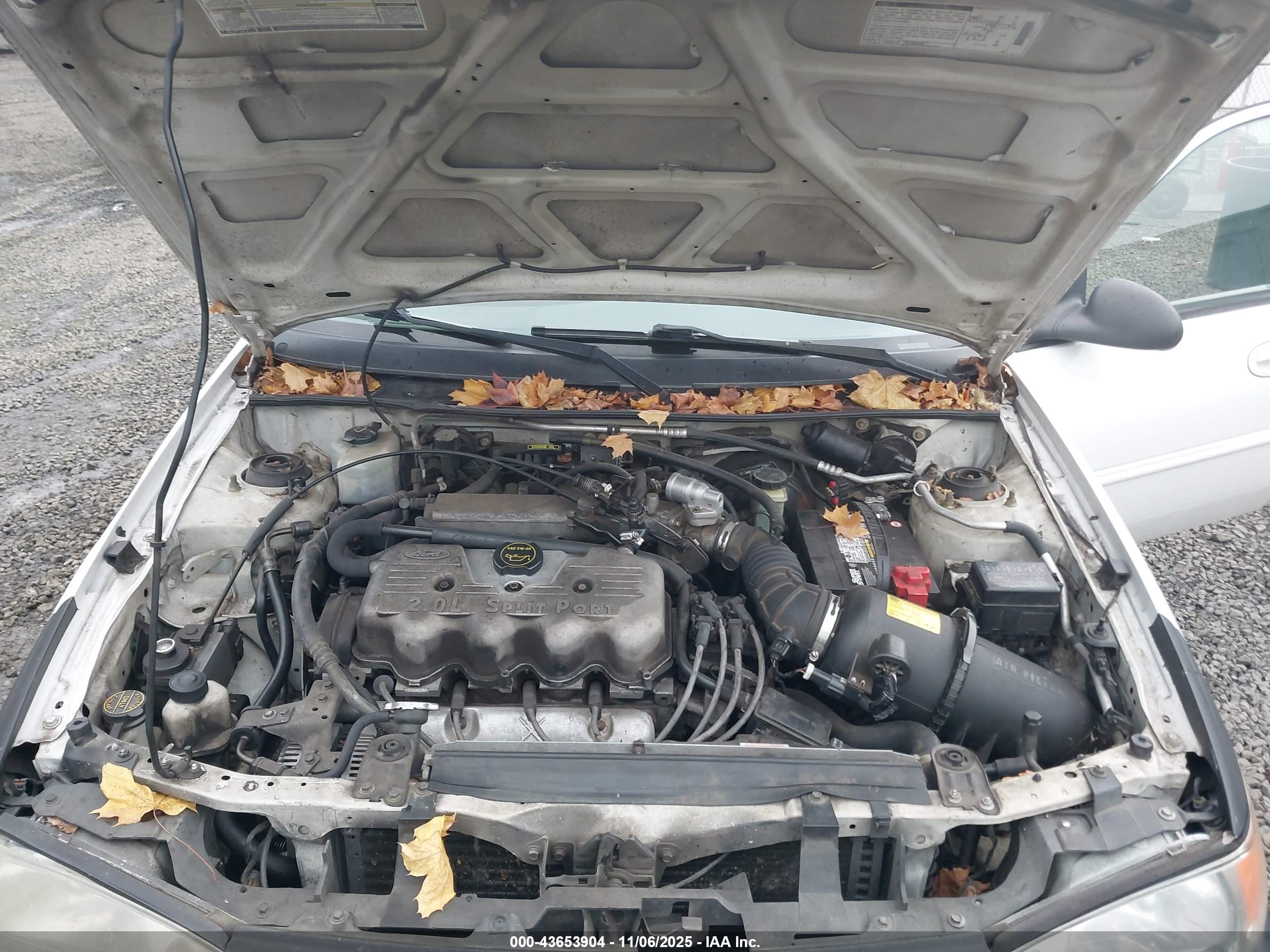 2001 Ford Escort   White vin: 3FAFP13P61R198773
