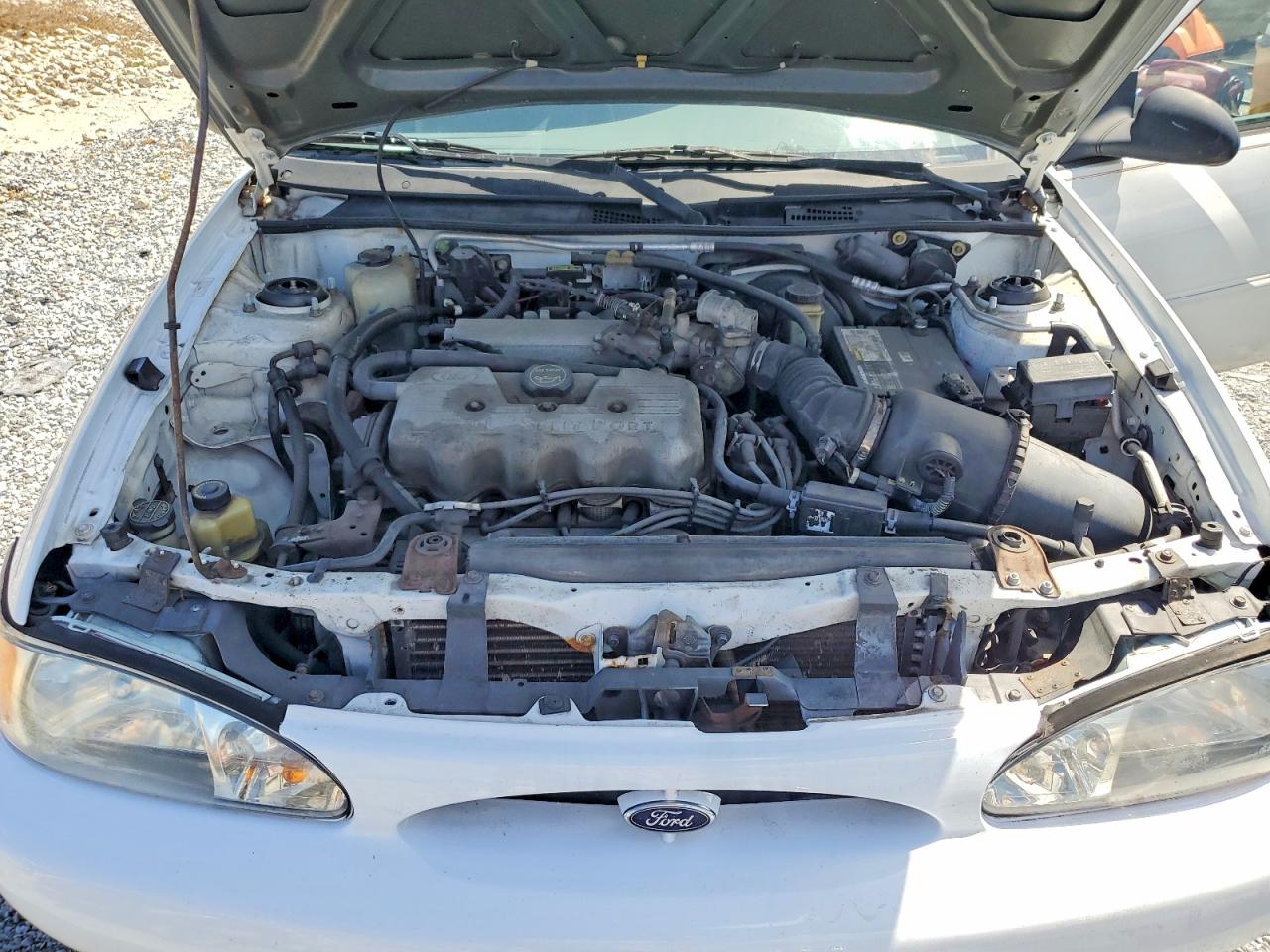2001 Ford Escort Белый vin: 3FAFP13P91R105826