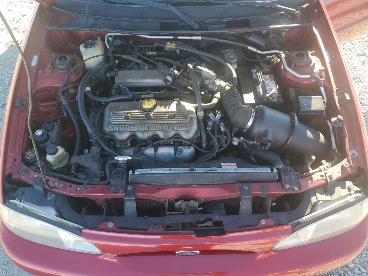 1998 Ford Escort Se Burgundy vin: 3FAFP15P0WR190849