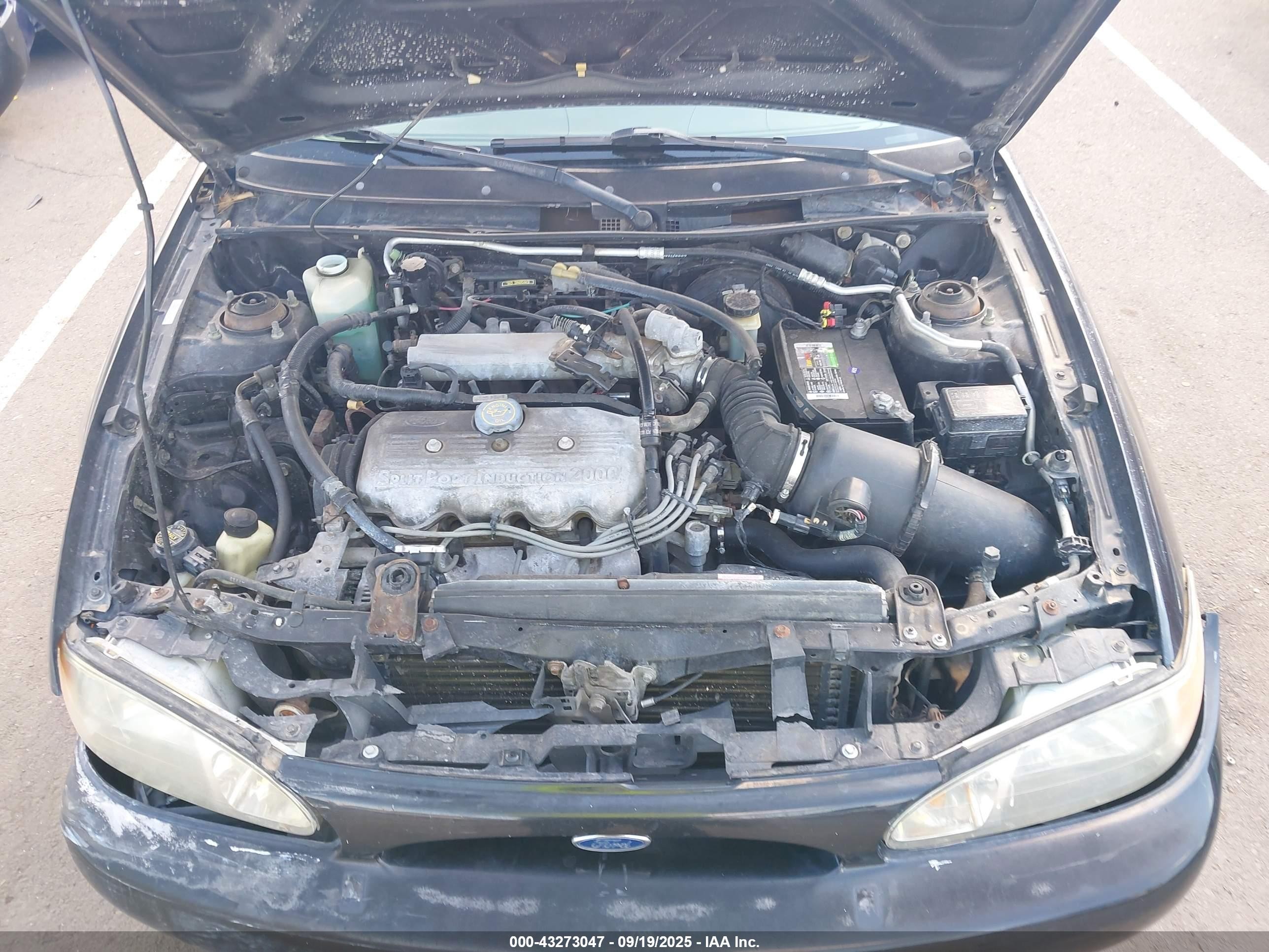 1998 Ford Escort Se Black vin: 3FAFP15P0WR238401