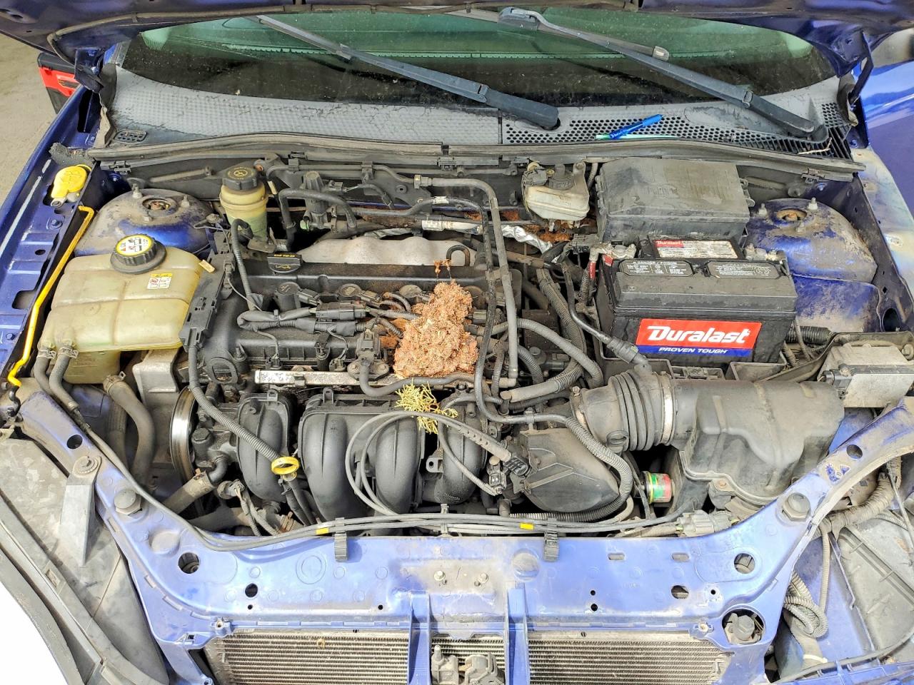 2005 Ford Focus Zx5 Blue vin: 3FAFP37N25R131999