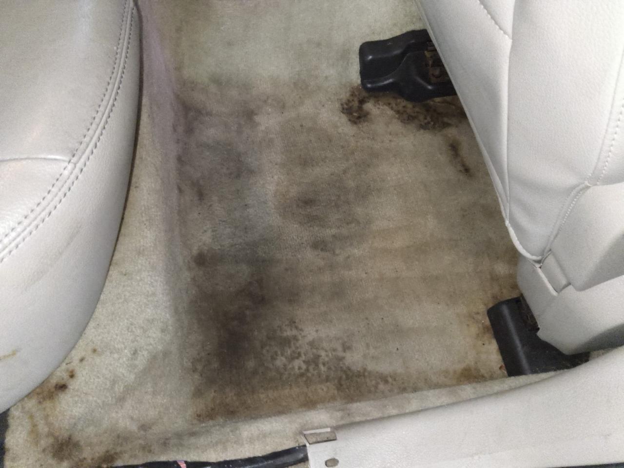 2009 Ford Fusion Sel Black vin: 3FAHP02169R146930 Damage: Right Rear Carpet, Stained, Permanent