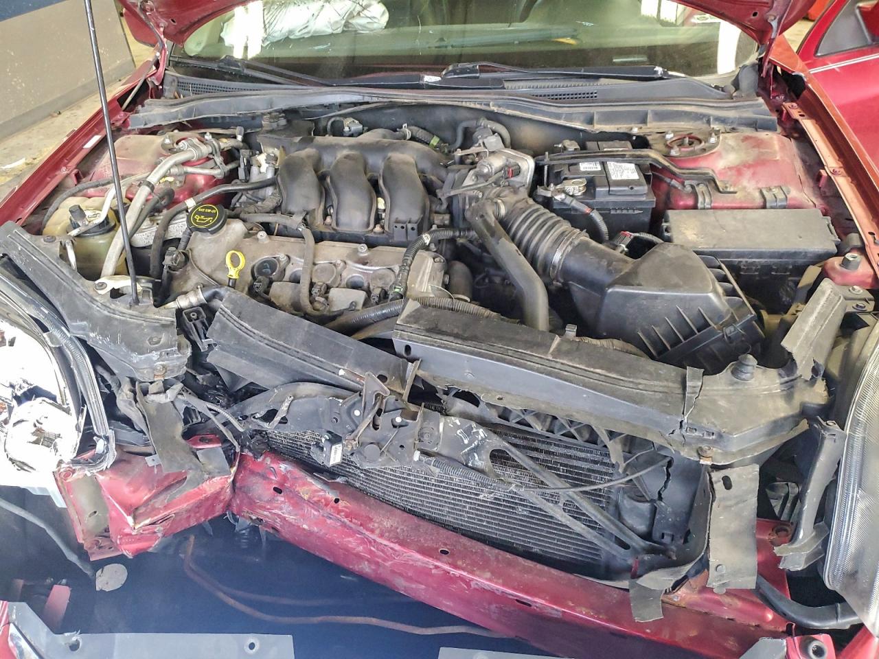 2009 Ford Fusion Sel Burgundy vin: 3FAHP08129R111678