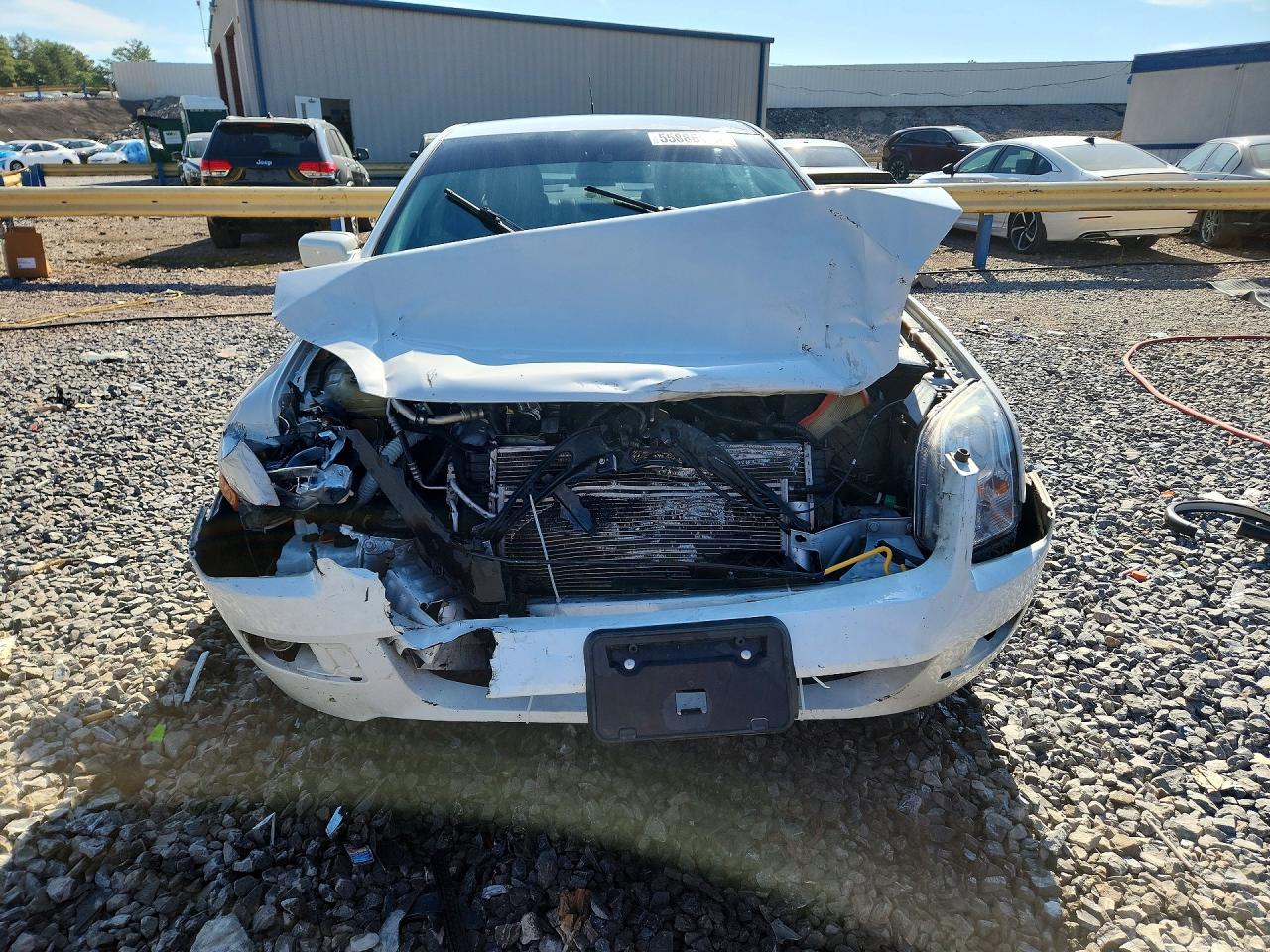 2009 Ford Fusion Sel Белый vin: 3FAHP08189R191147