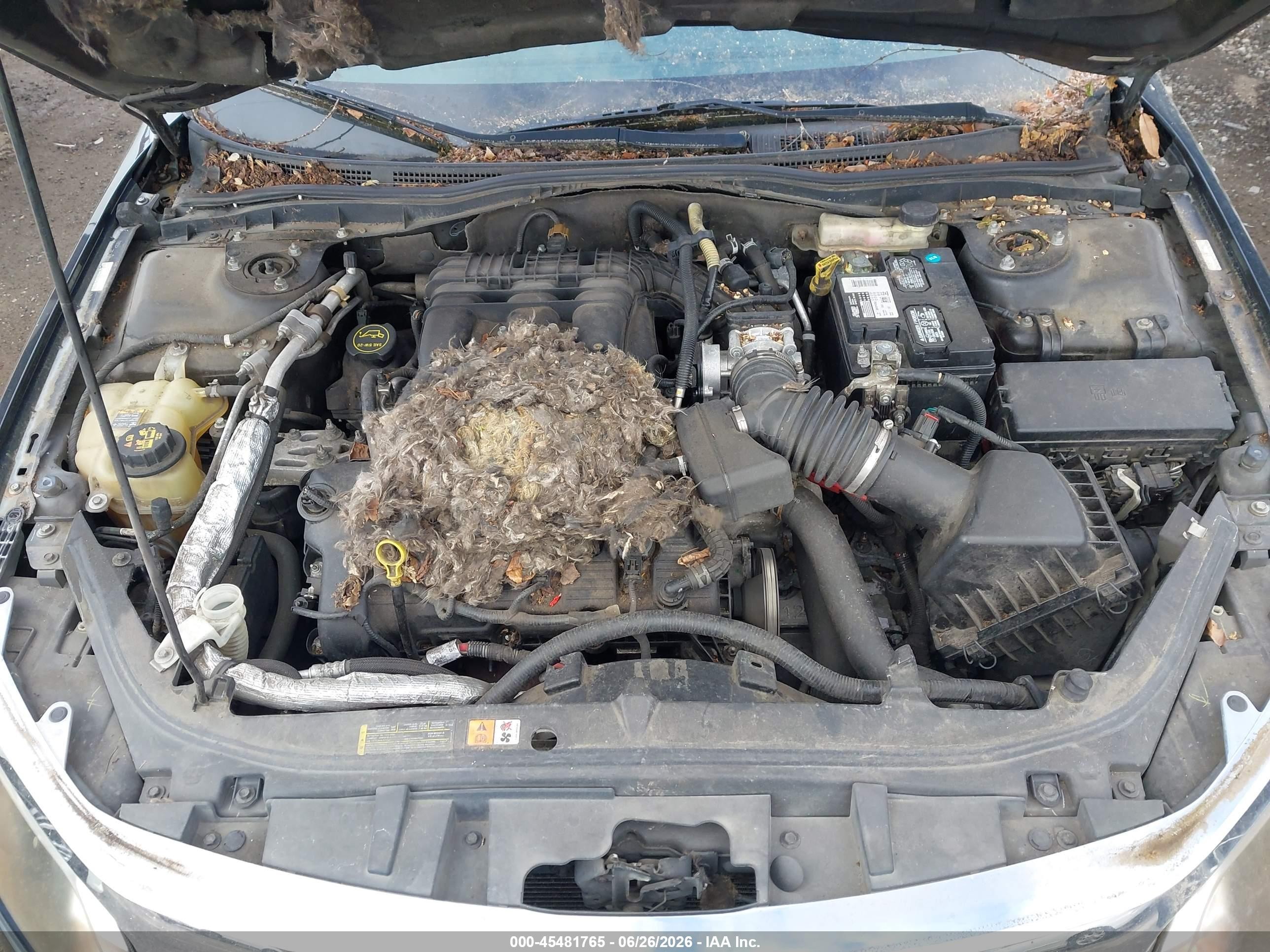 2010 Ford Fusion Sel Черный vin: 3FAHP0CG9AR165186