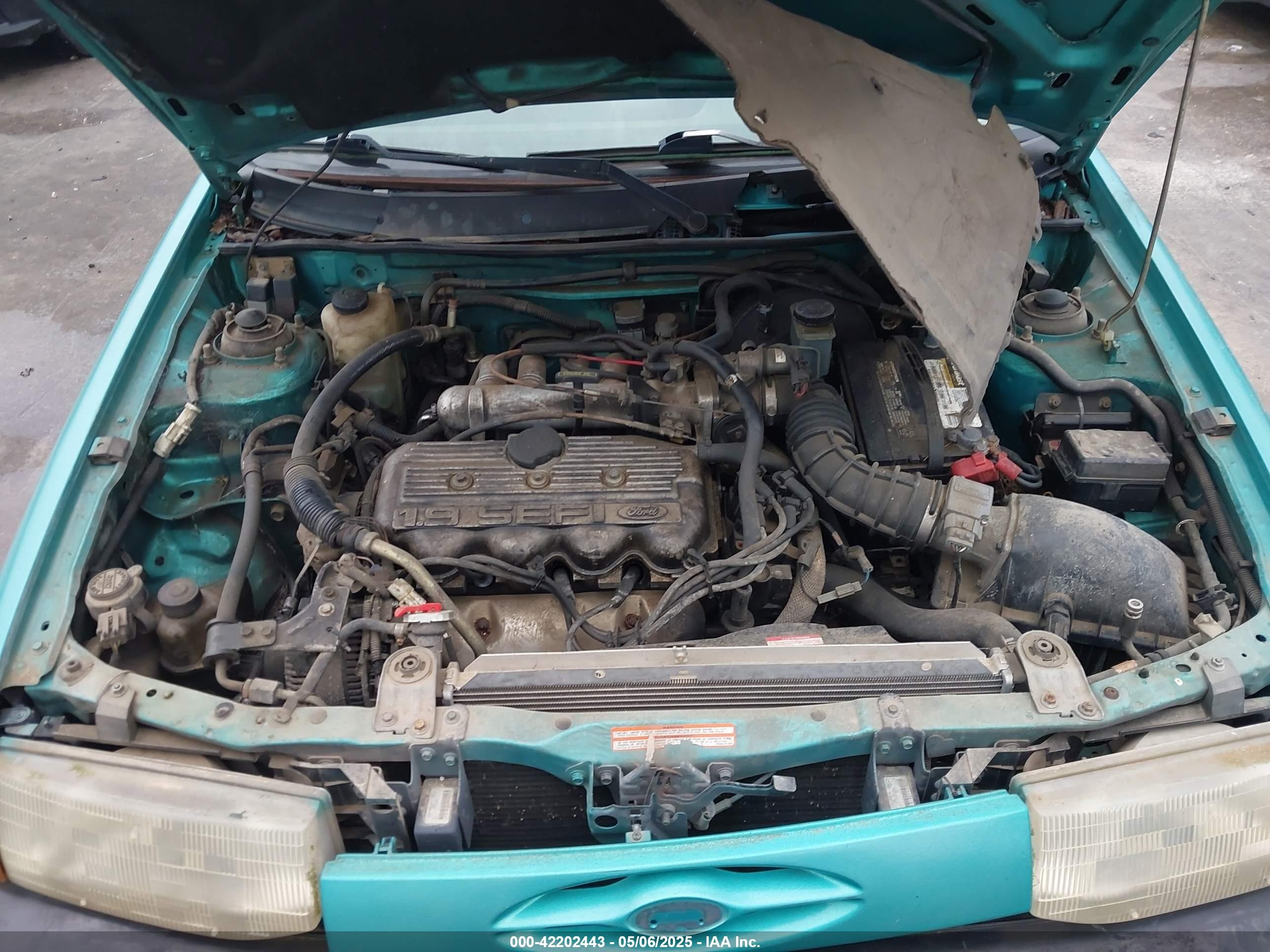 1994 Ford Escort Lx/sport Green vin: 3FARP13J0RR121191