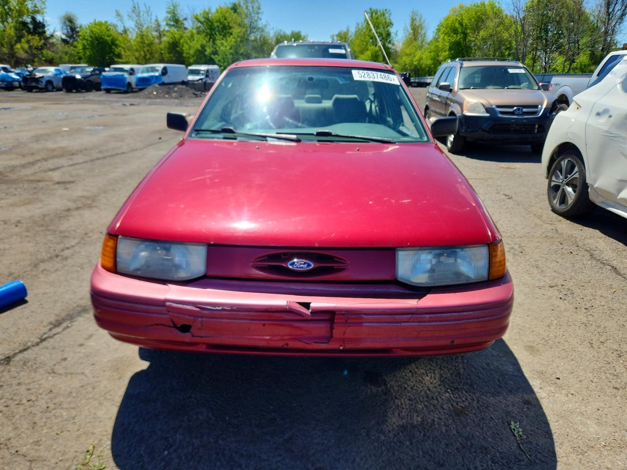 1995 Ford Escort Lx Burgundy vin: 3FASP13J8SR200616