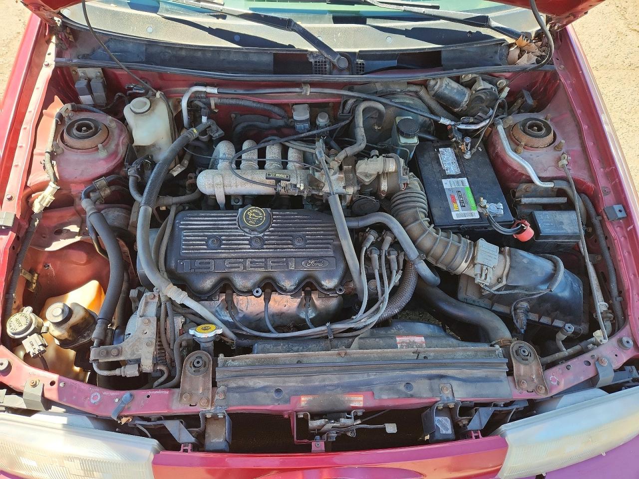 1995 Ford Escort Lx Burgundy vin: 3FASP13J8SR200616
