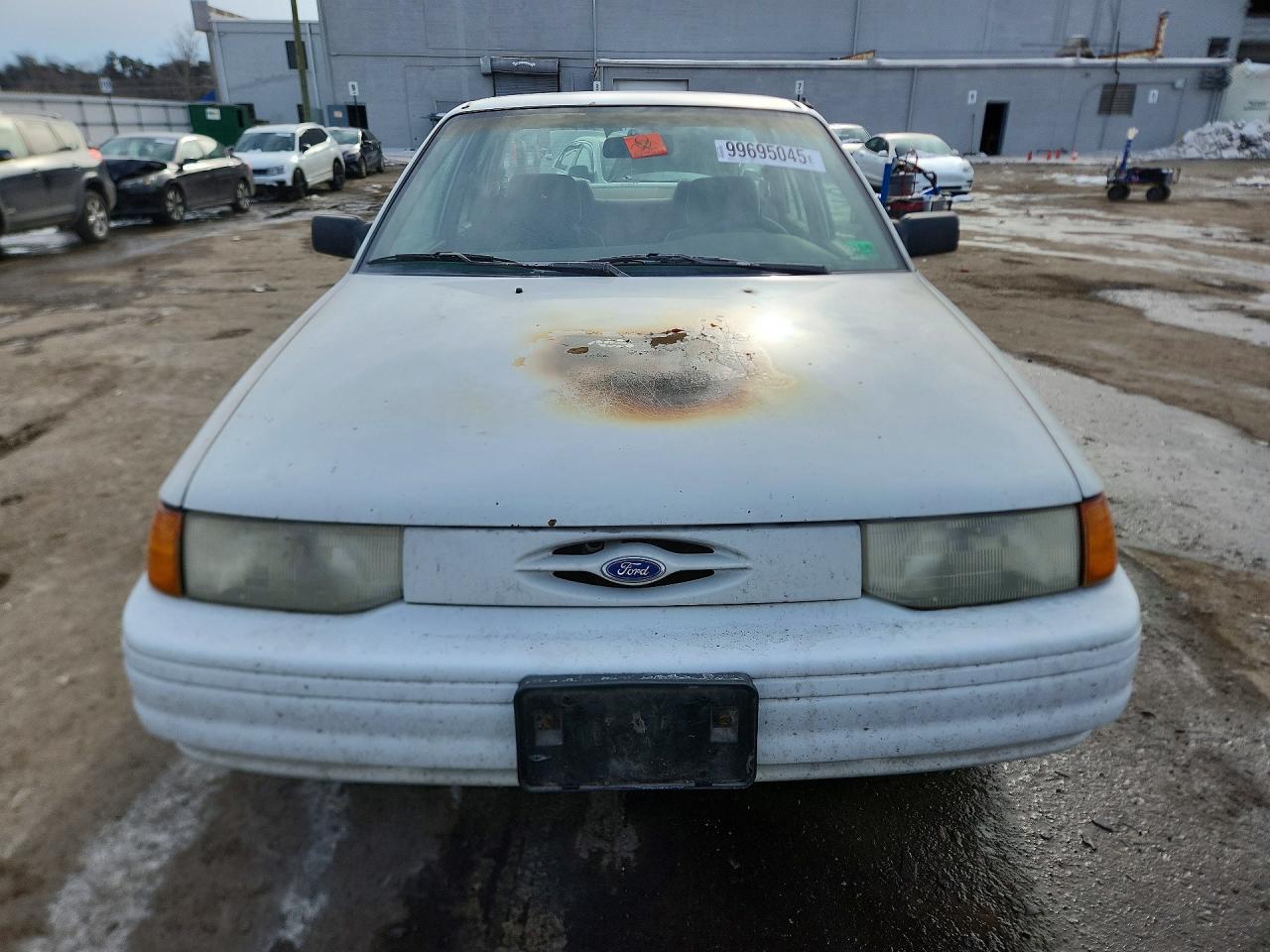 1995 Ford Escort Lx White vin: 3FASP13J9SR176164