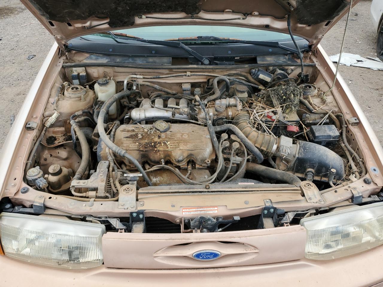 1995 Ford Escort Lx Gold vin: 3FASP15J8SR168389