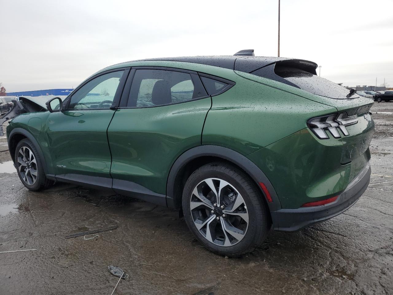 2025 Ford Mustang Mach-e Select Зеленый vin: 3FMTK1S59SMA12505