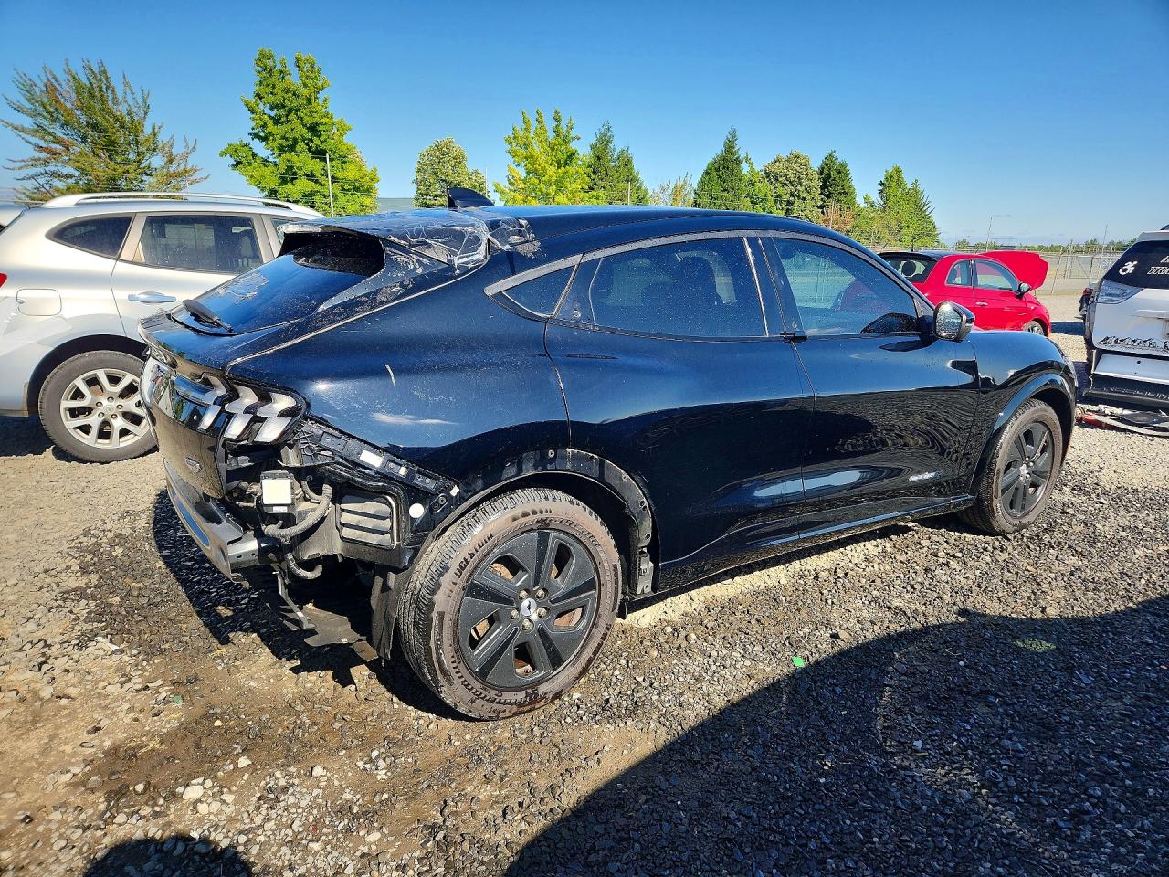 2021 Ford Mustang Mach-e California Route 1 Black vin: 3FMTK2R75MMA36431