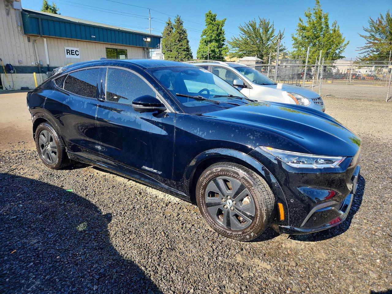 2021 Ford Mustang Mach-e California Route 1 Black vin: 3FMTK2R75MMA36431