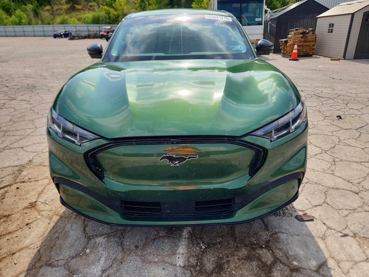 2024 Ford Mustang Mach-e Premium Зеленый vin: 3FMTK3R46RMA03618