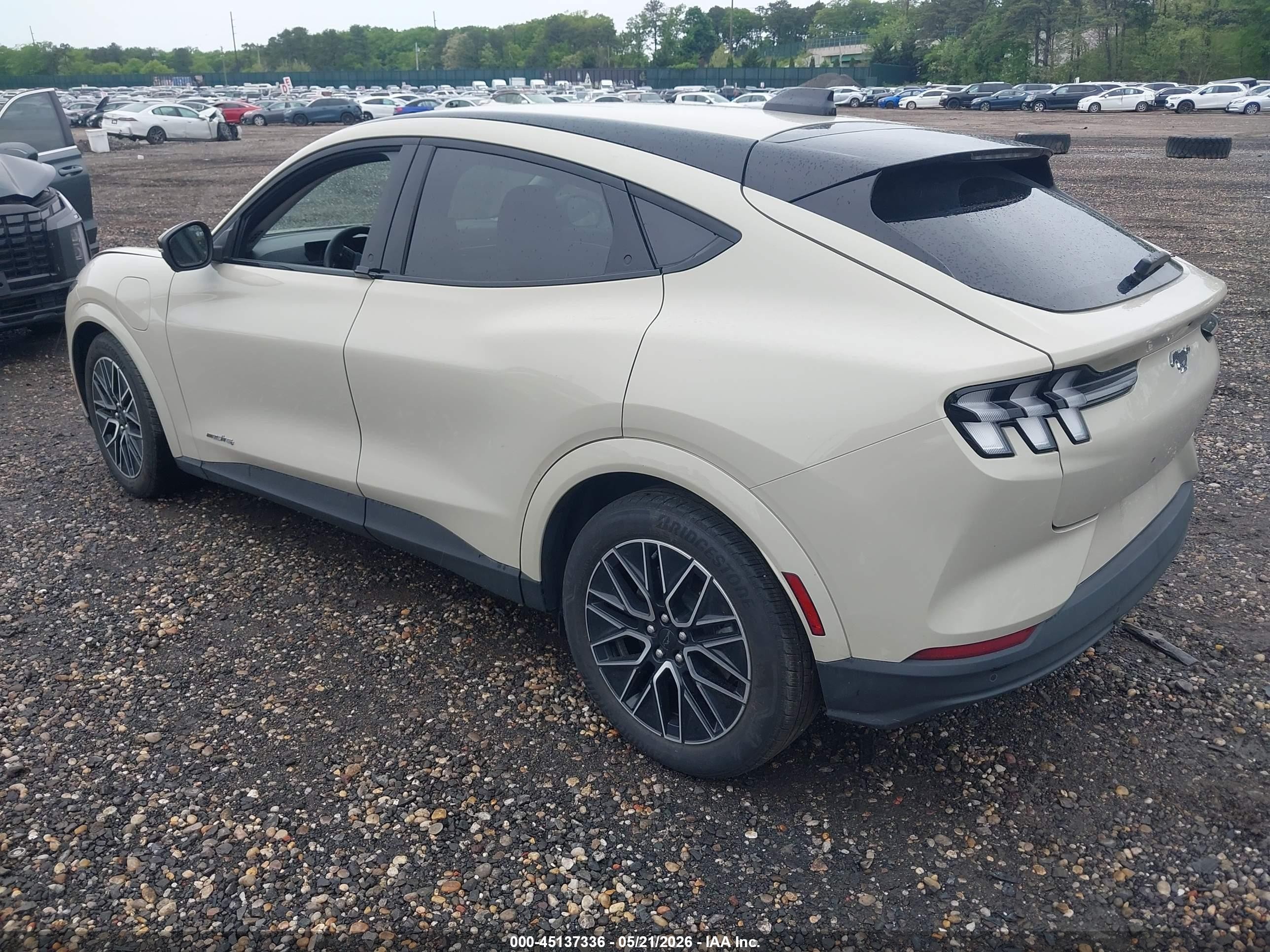 2025 Ford Mustang Mach-e Premium Cream vin: 3FMTK3S53SMA38562
