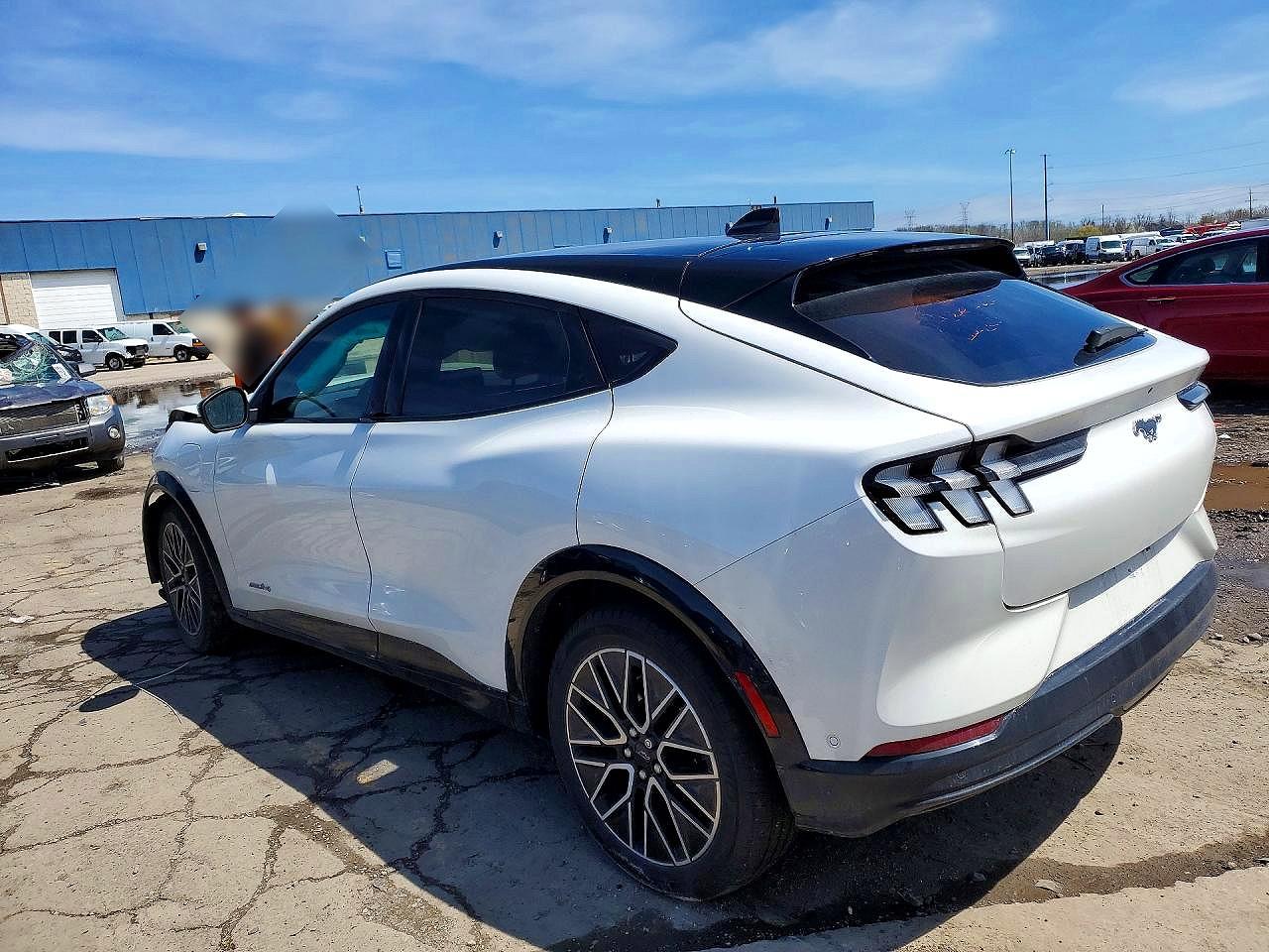 2024 Ford Mustang Mach-e Premium White vin: 3FMTK3S55RMA09008