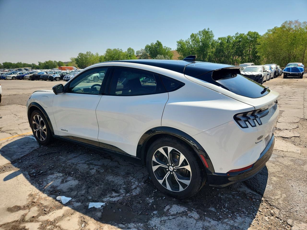 2021 Ford Mustang Mach-e Premium White vin: 3FMTK3SSXMMA54735