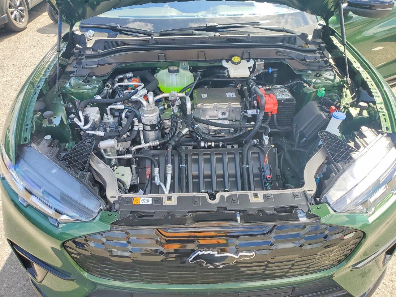 2026 Ford Mustang Mach-e Premium Green vin: 3FMTK3SU0TMA03793