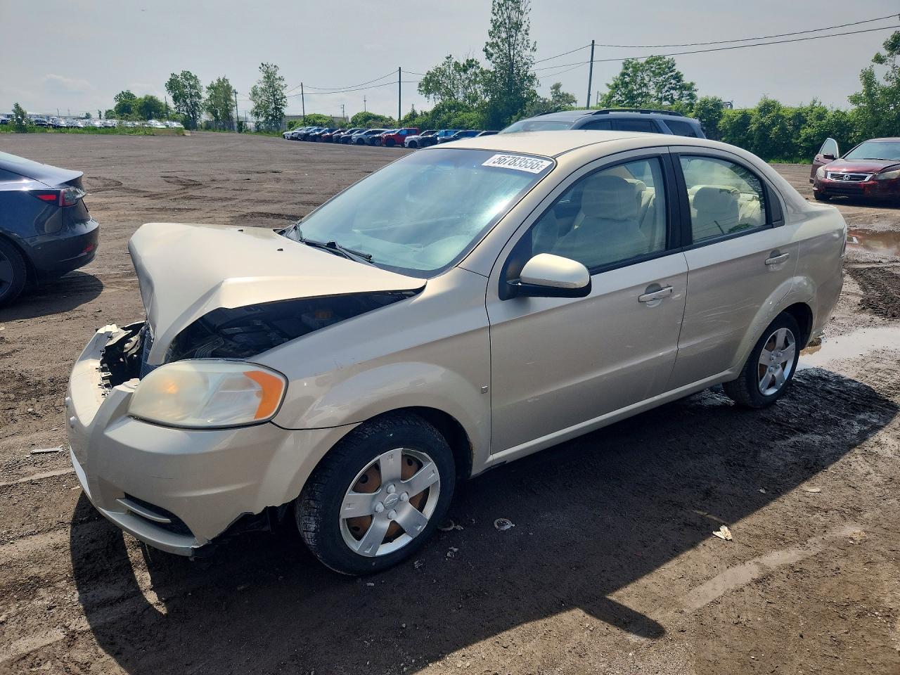 2009 Chevrolet Aveo Beige vin: 3G1TV55E99L120193
