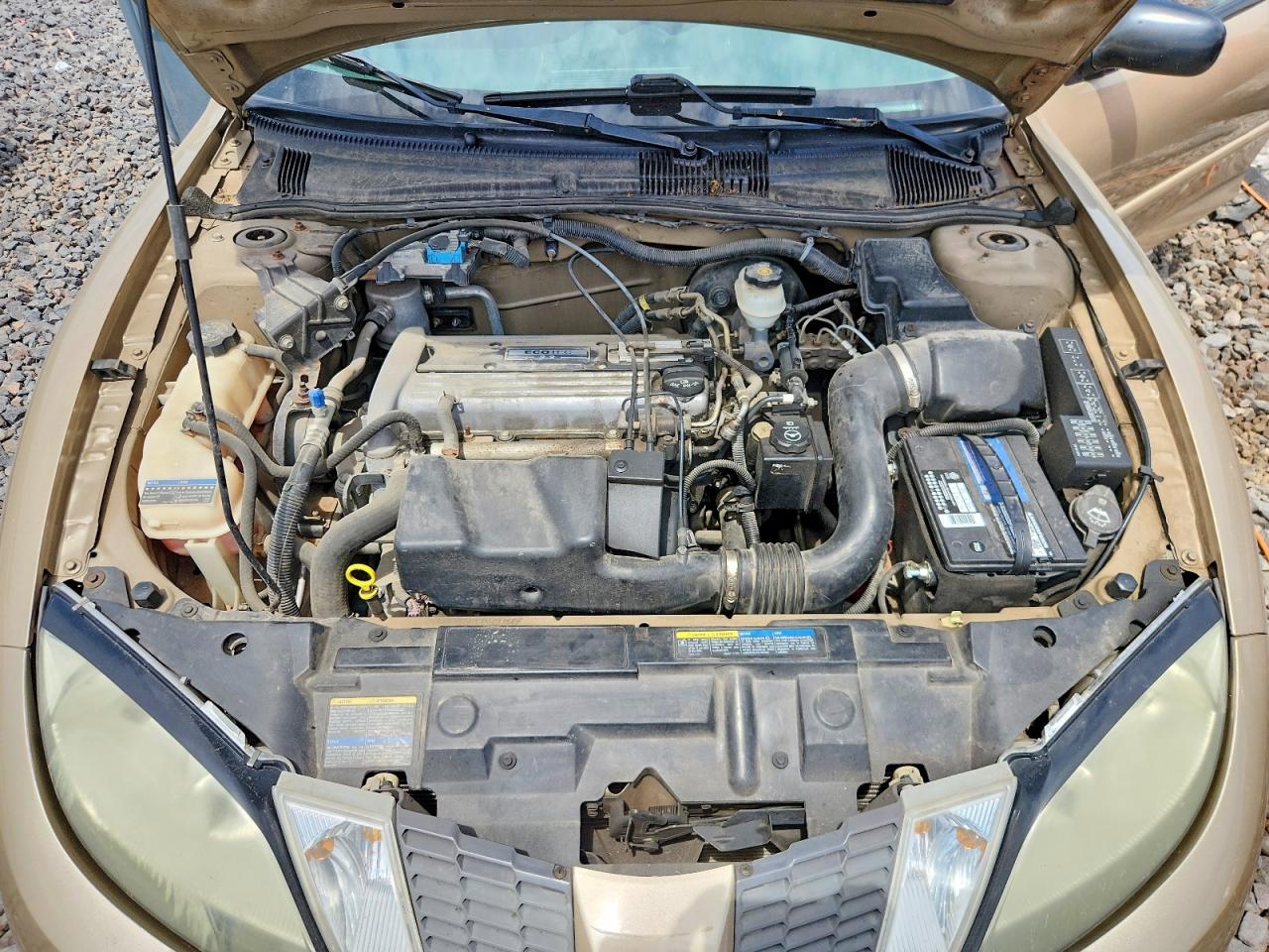 2005 Pontiac Sunfire Gold vin: 3G2JB12F15S217549