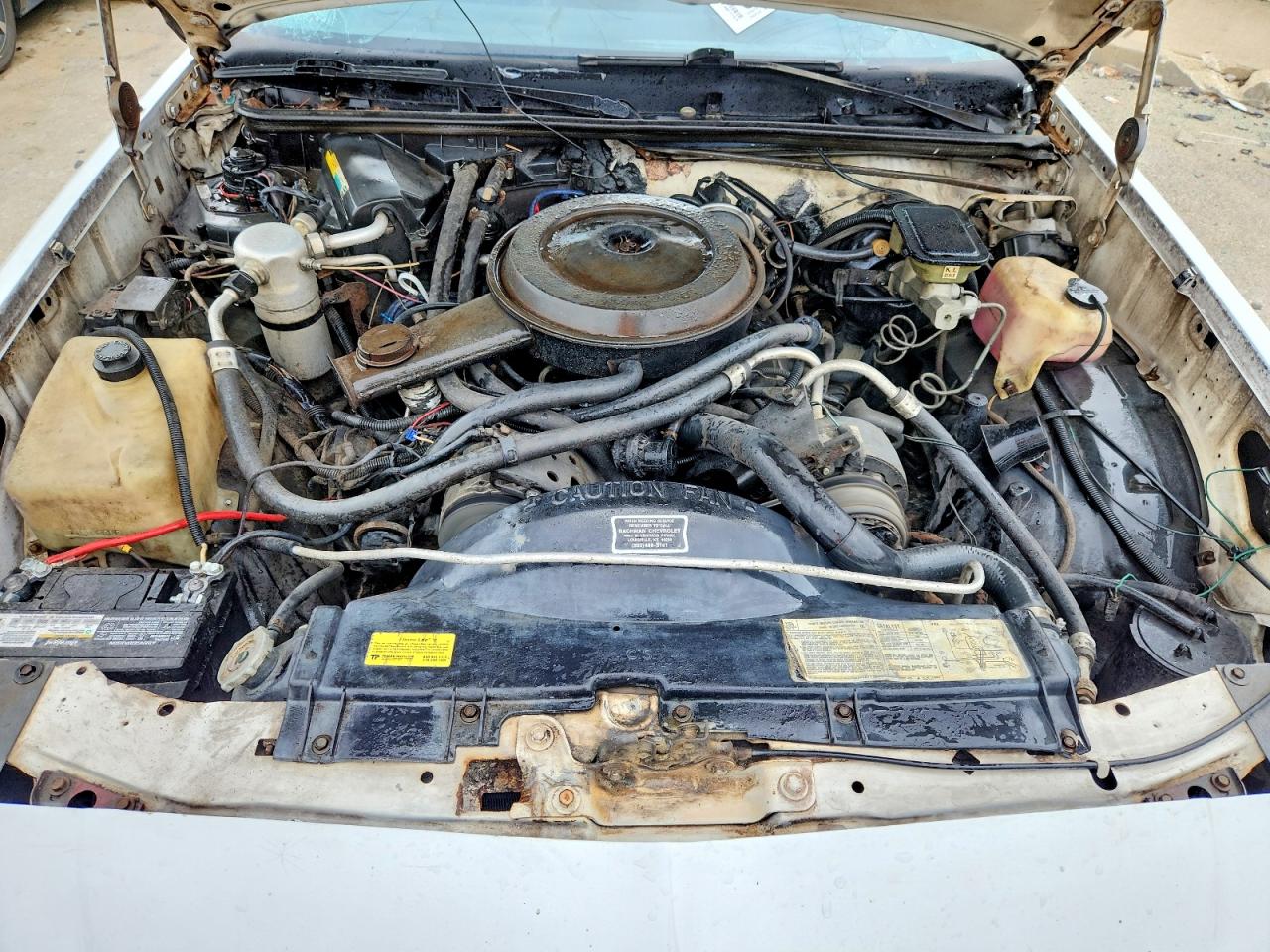 1986 Chevrolet El Camino Белый vin: 3GCCW80H6GS914031