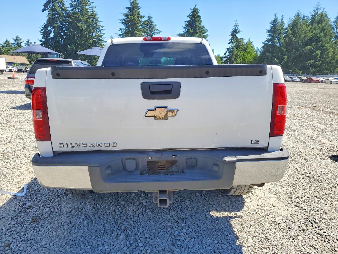 2009 Chevrolet Silverado K1500 Белый vin: 3GCEK13C79G289916