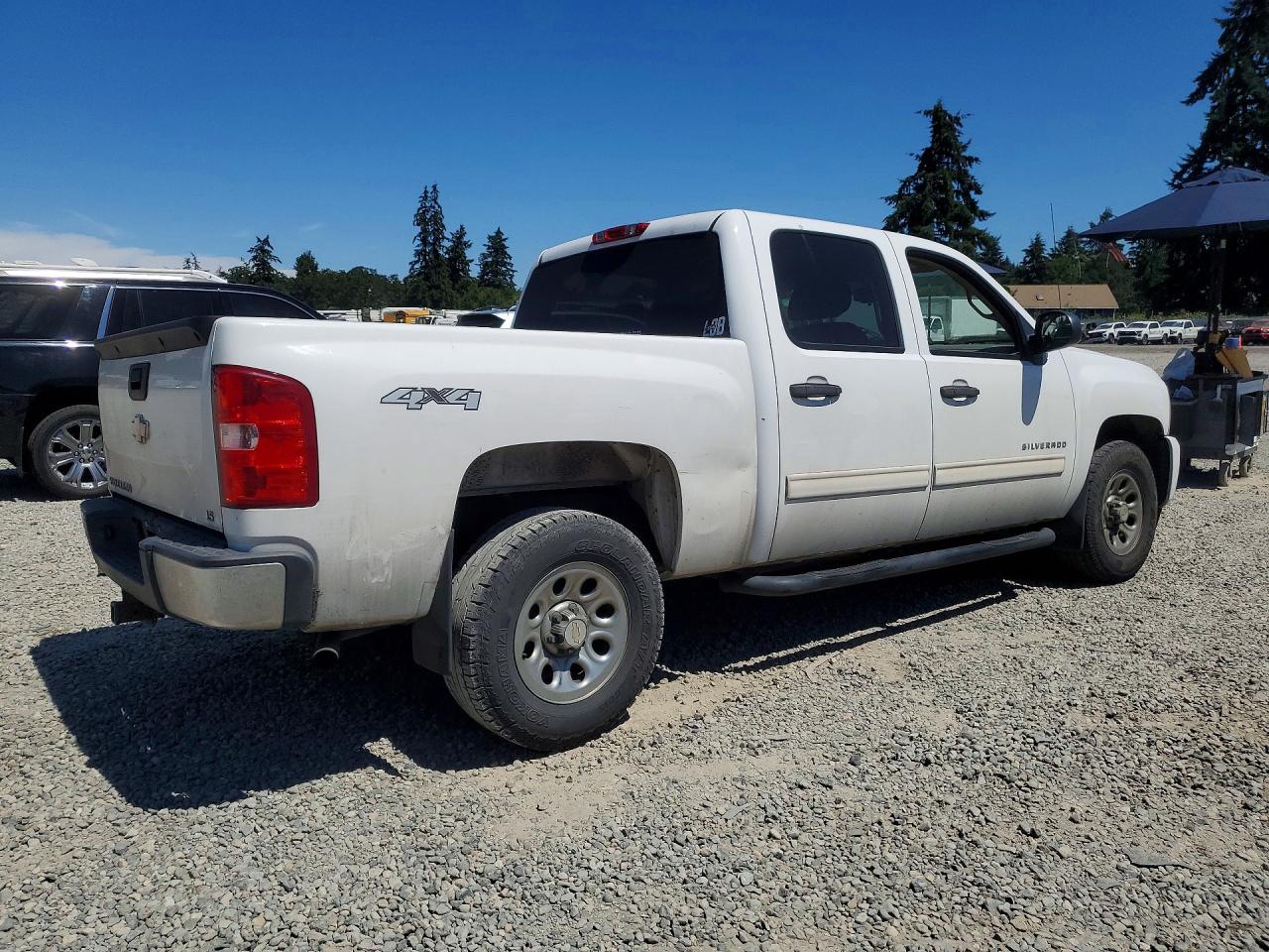 2009 Chevrolet Silverado K1500 Белый vin: 3GCEK13C79G289916