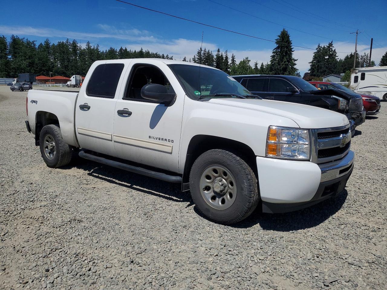 2009 Chevrolet Silverado K1500 Белый vin: 3GCEK13C79G289916
