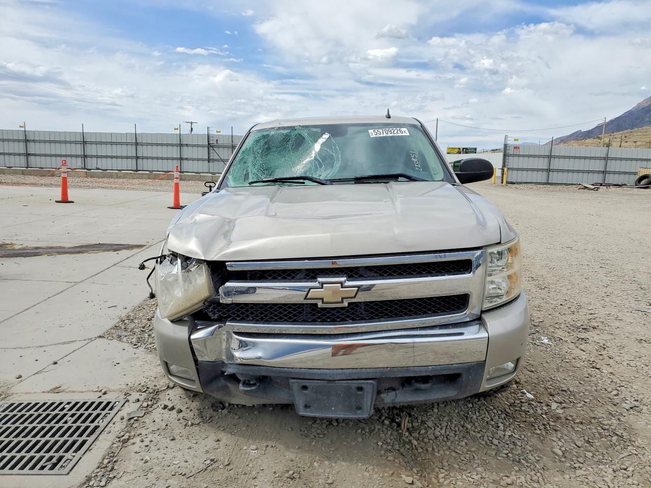 2008 Chevrolet Silverado K1500 Коричневый vin: 3GCEK13J58G220851