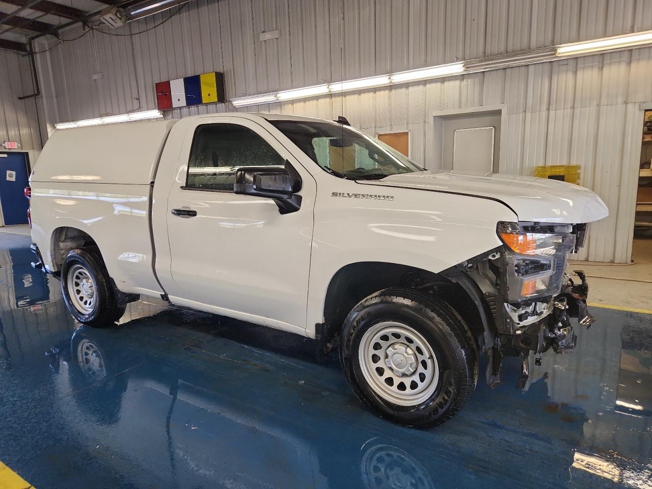 2023 Chevrolet Silverado C1500 White vin: 3GCNAAEK6PG353920