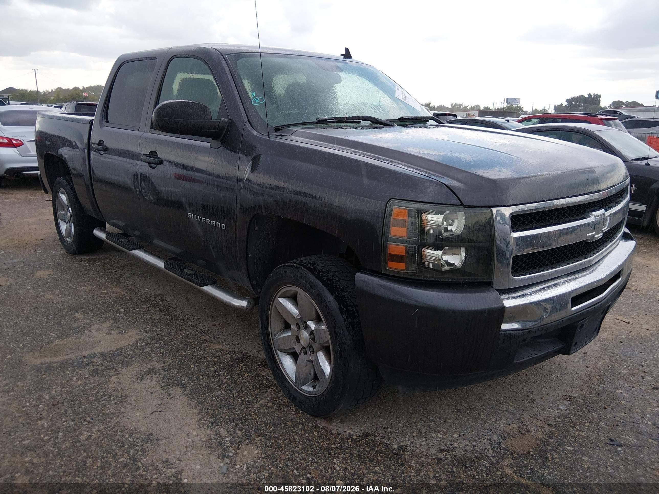 2010 Chevrolet Silverado 1500 Ls Gray vin: 3GCRCREA6AG222981