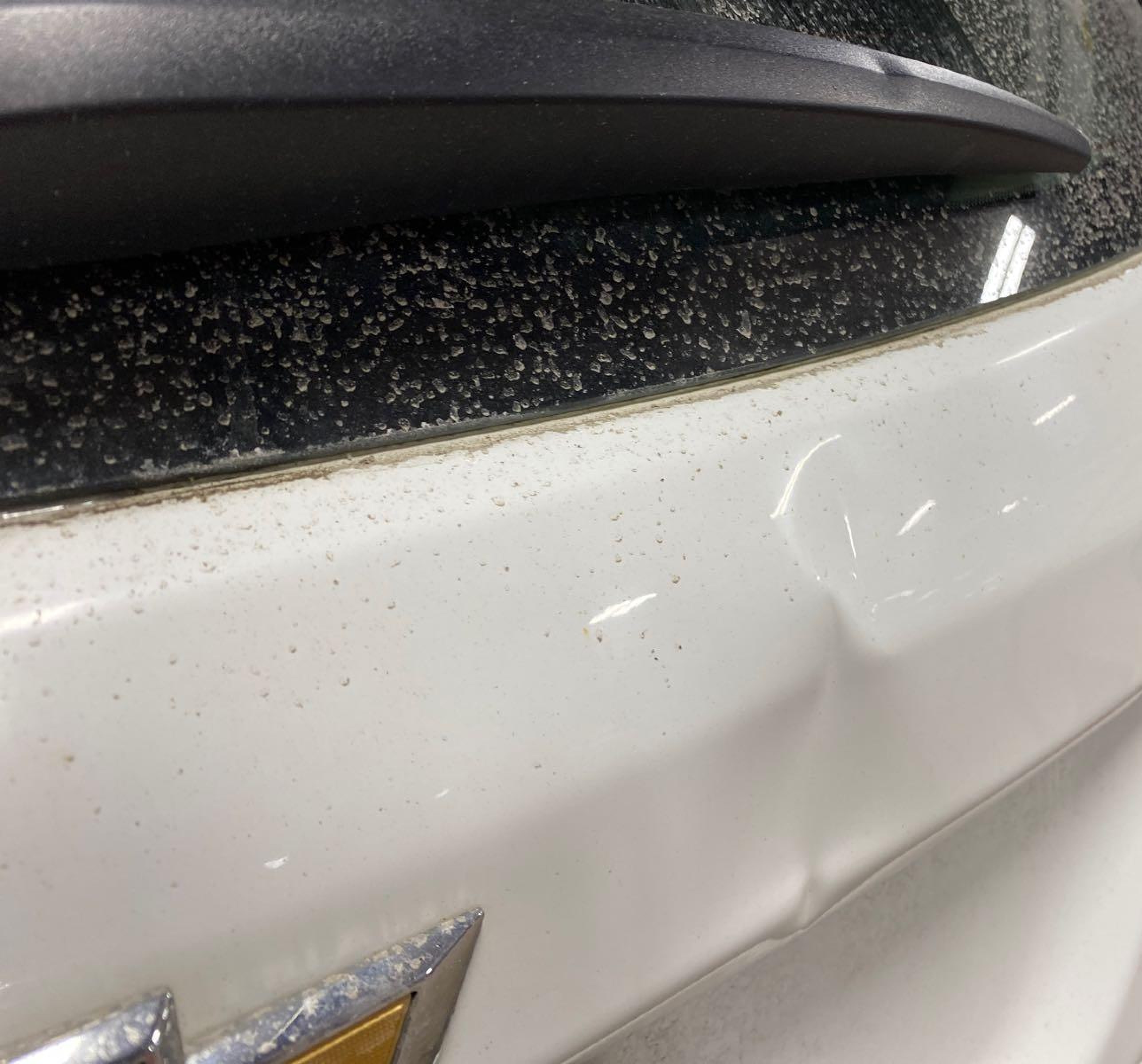 2021 Chevrolet Equinox Ls vin: 3GNAXHEV6MS102427