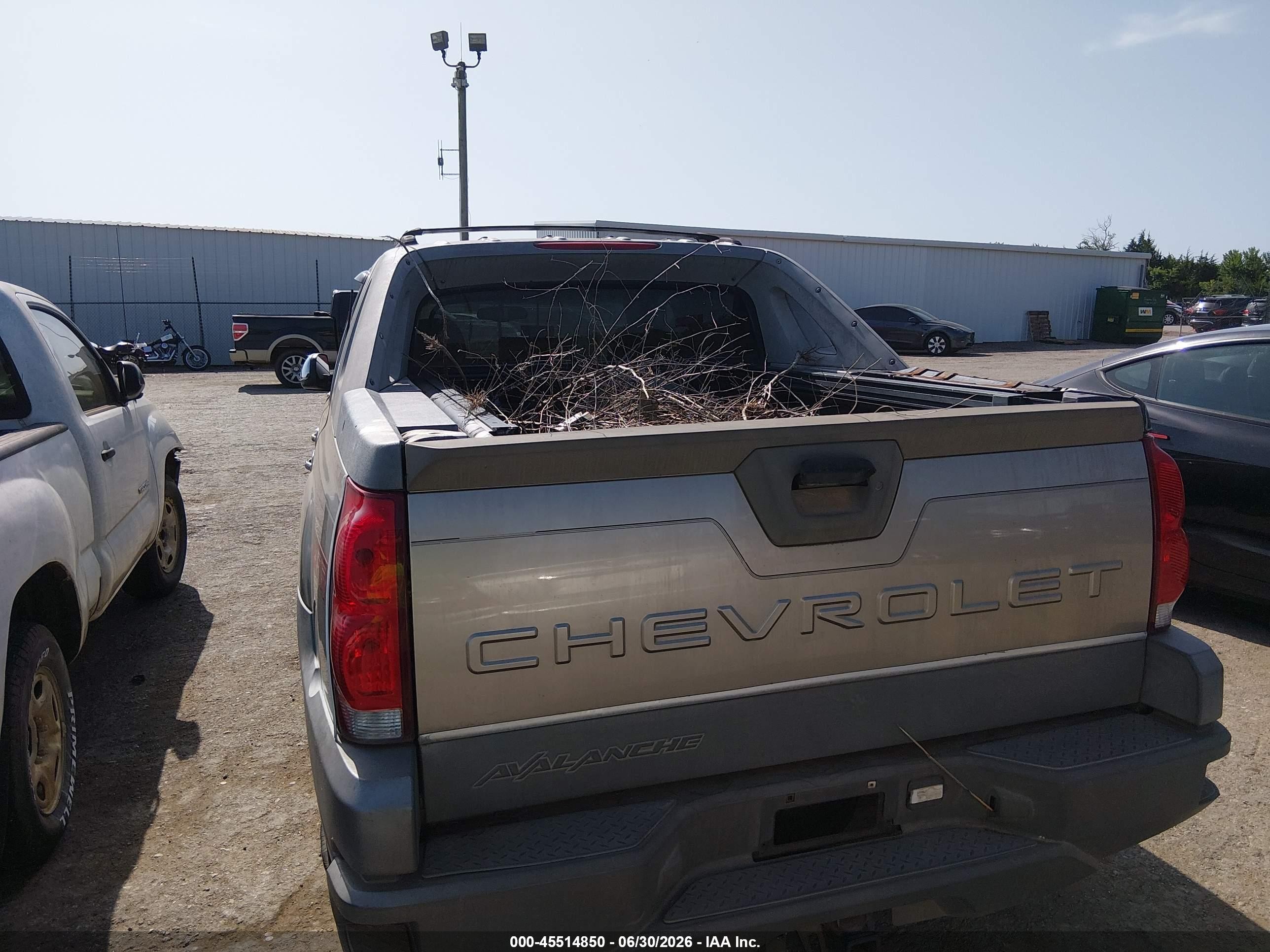 2002 Chevrolet Avalanche 1500   Gray vin: 3GNEC13T02G101151