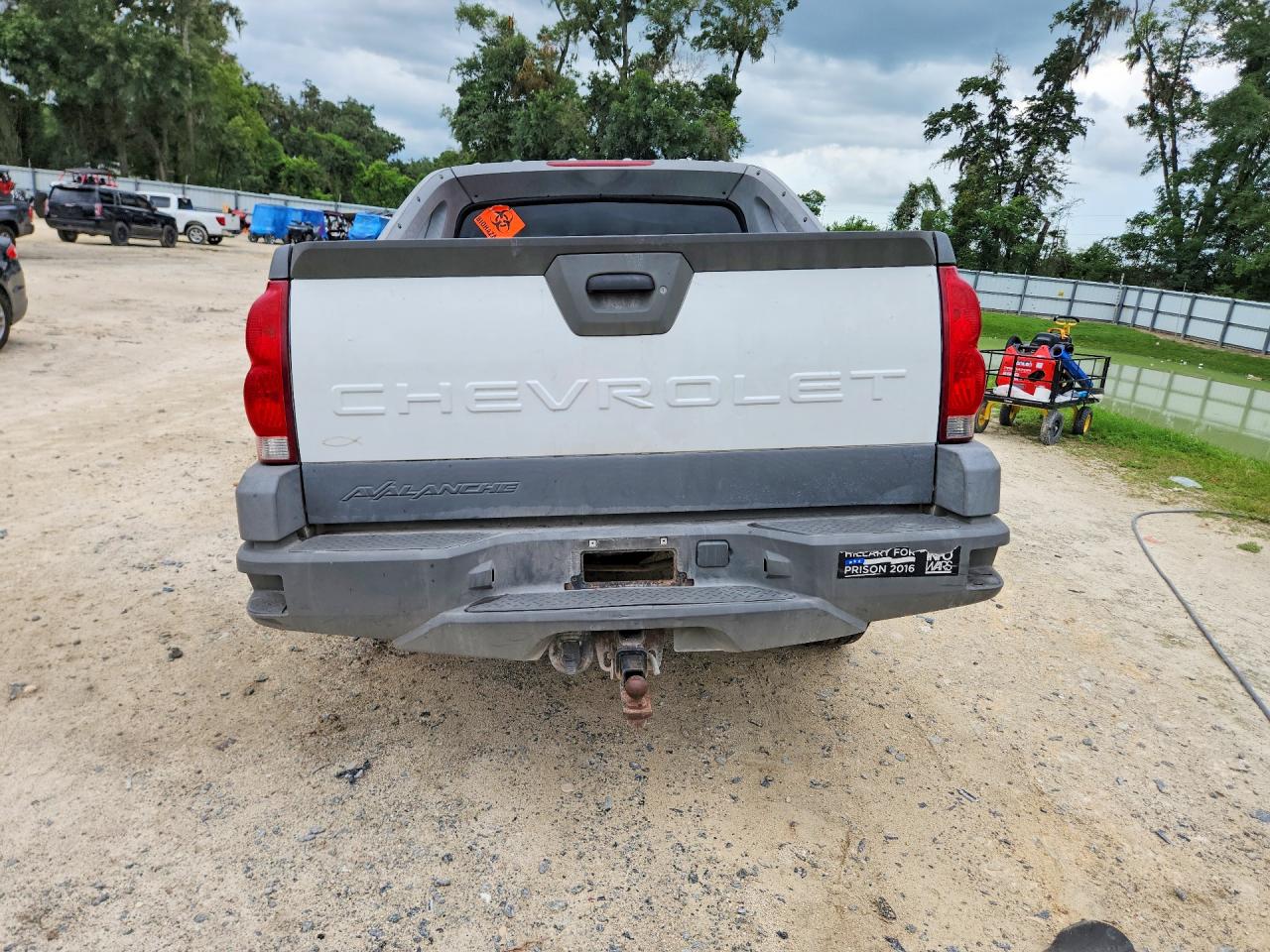 2002 Chevrolet Avalanche C1500 White vin: 3GNEC13TX2G101769