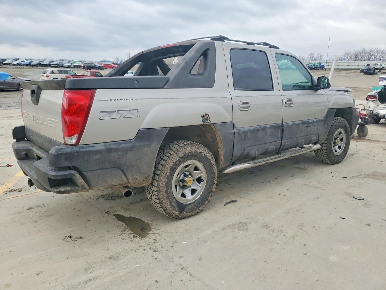 2004 Chevrolet Avalanche K1500 Желто-коричневый vin: 3GNEK12T94G187292